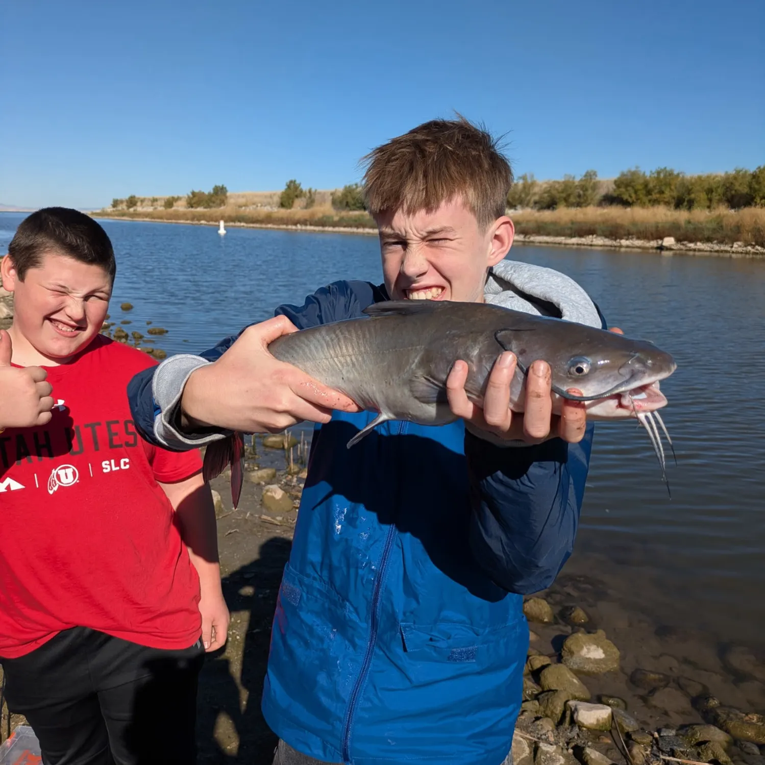Channel catfish caught on Fishbrain