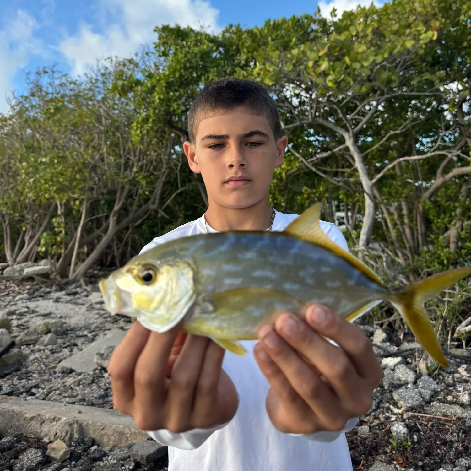The most recent Yellow jack catches on Fishbrain