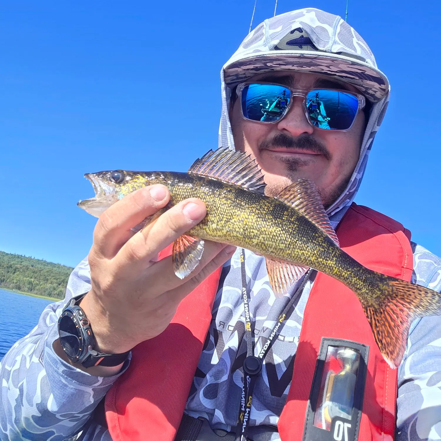 Walleye caught on Fishbrain
