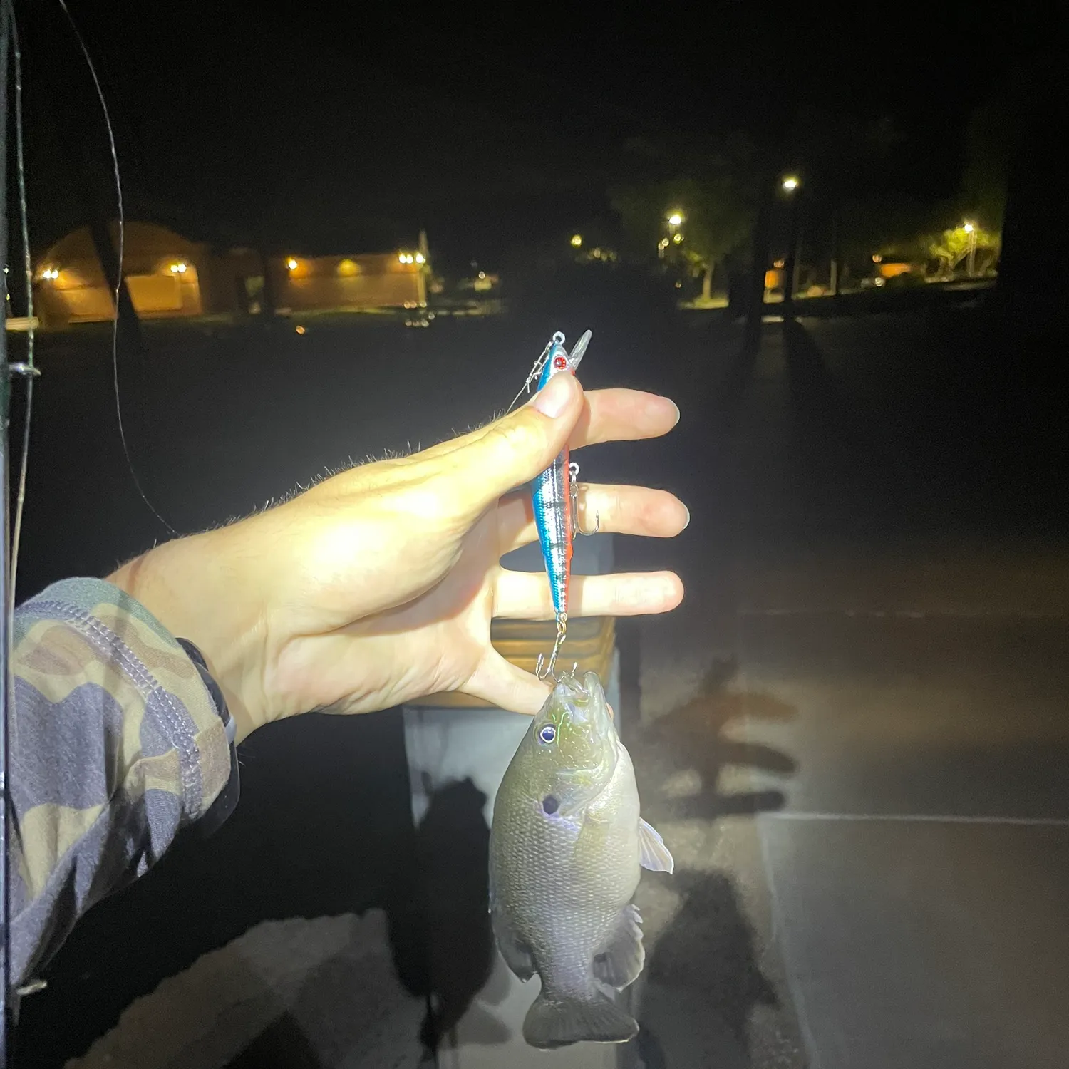 The most recent Redear sunfish catches on Fishbrain