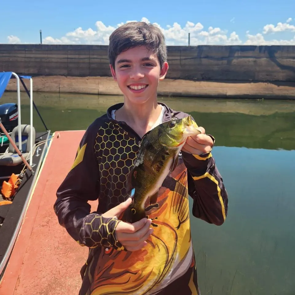 Fish caught on Fishbrain