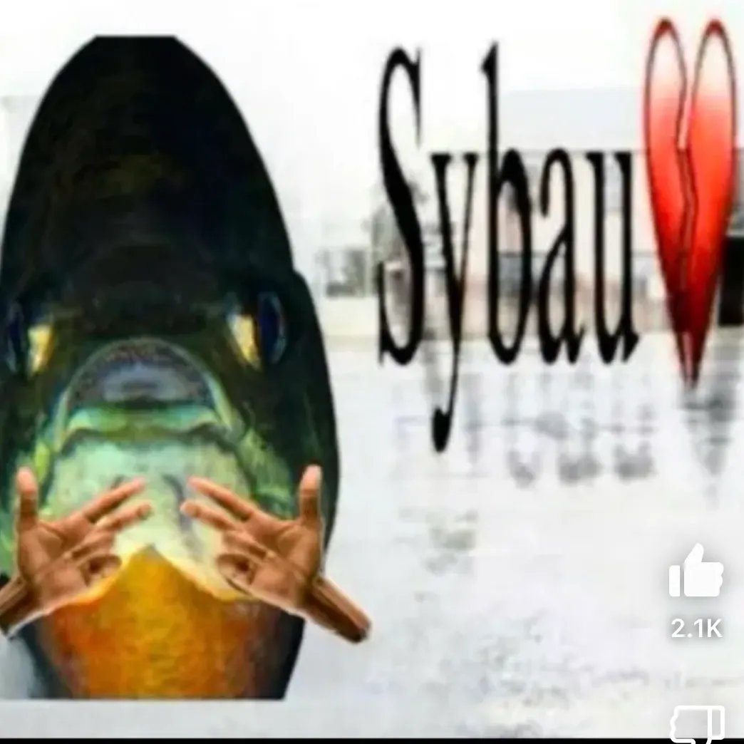 The most recent Channel catfish catches on Fishbrain