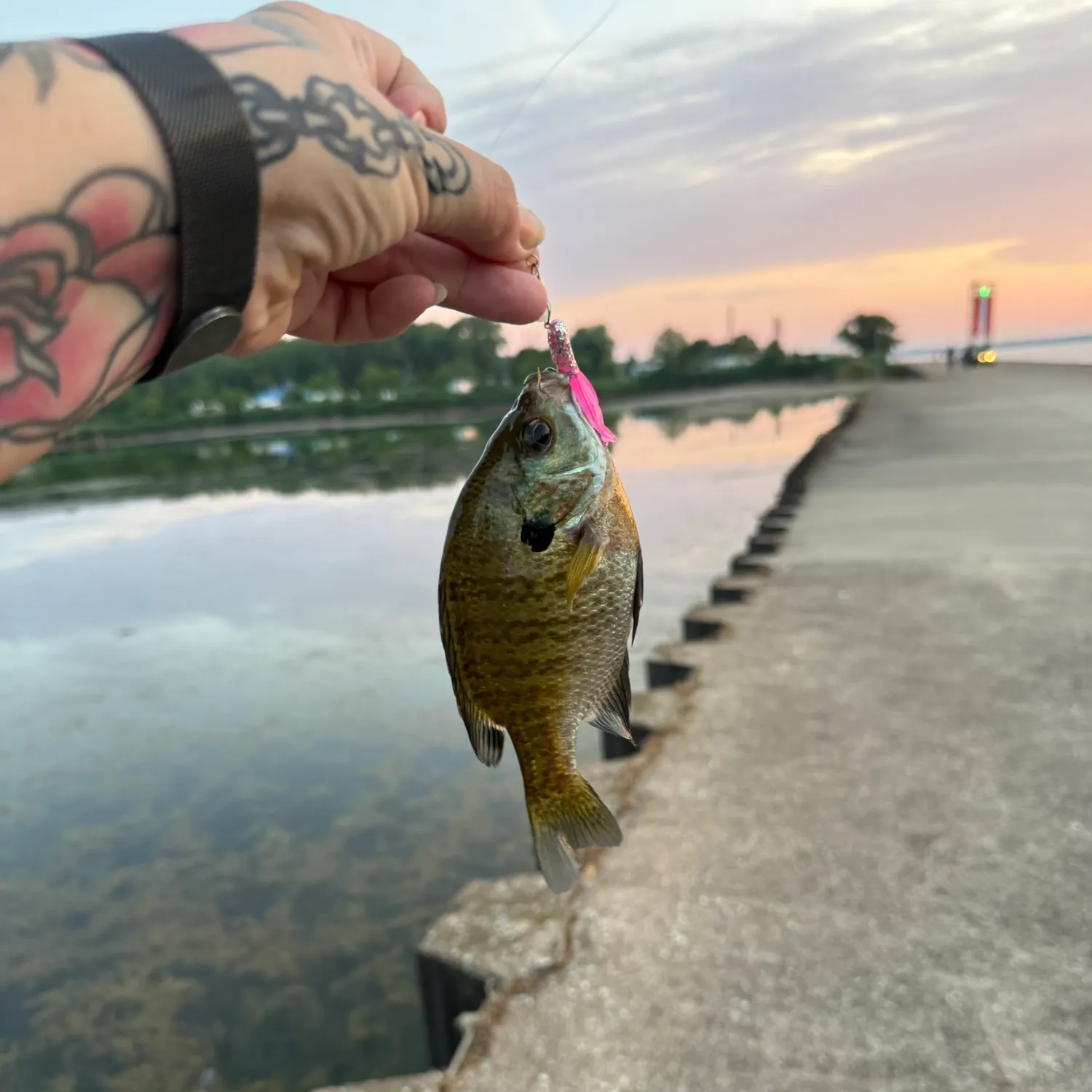 catch