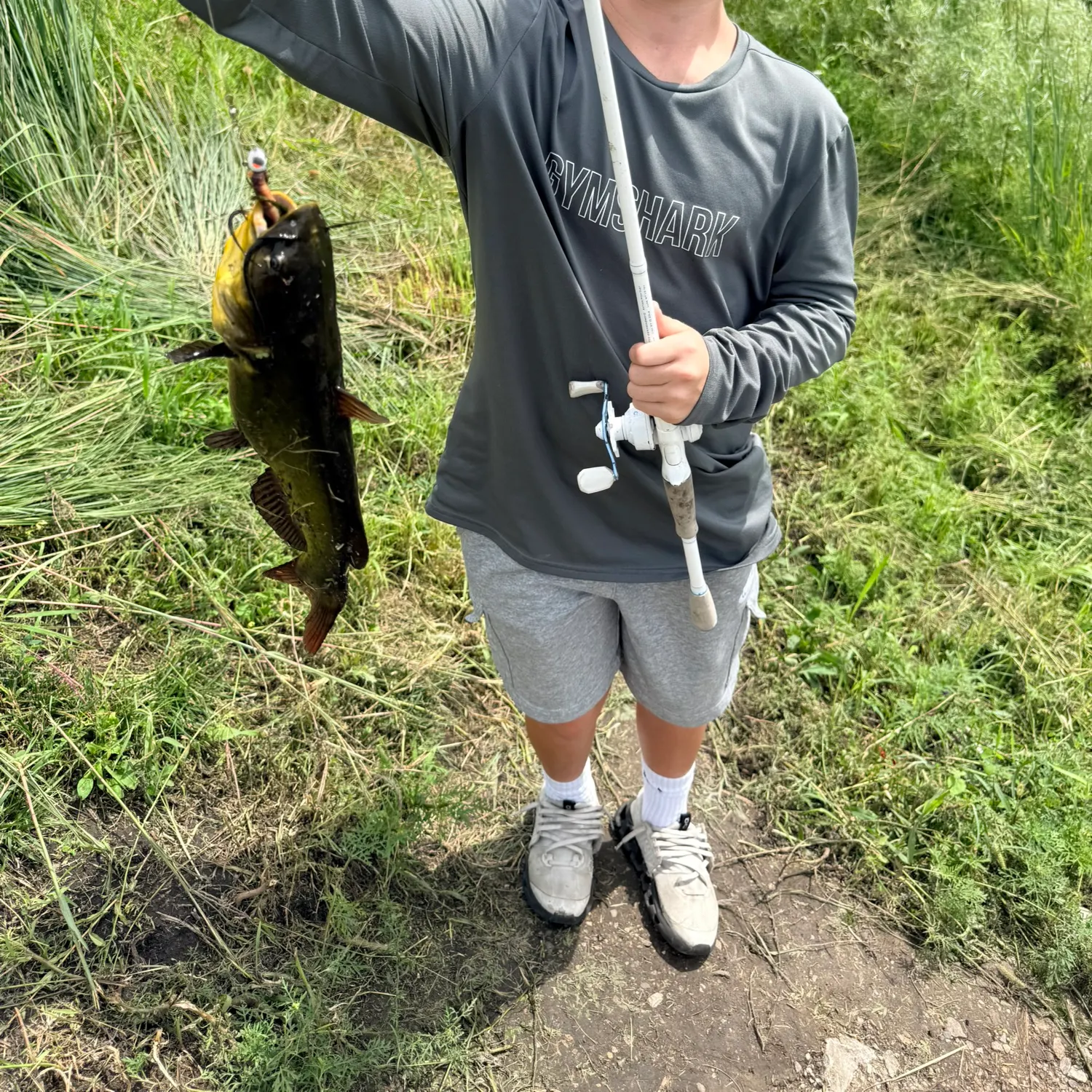 Black bullhead caught on Fishbrain