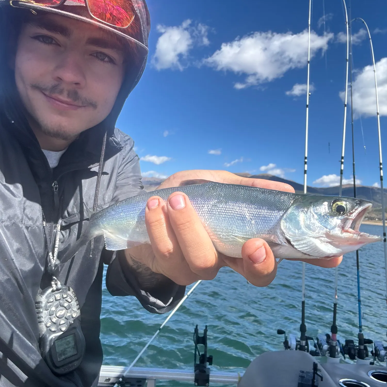 Kokanee salmon caught on Fishbrain