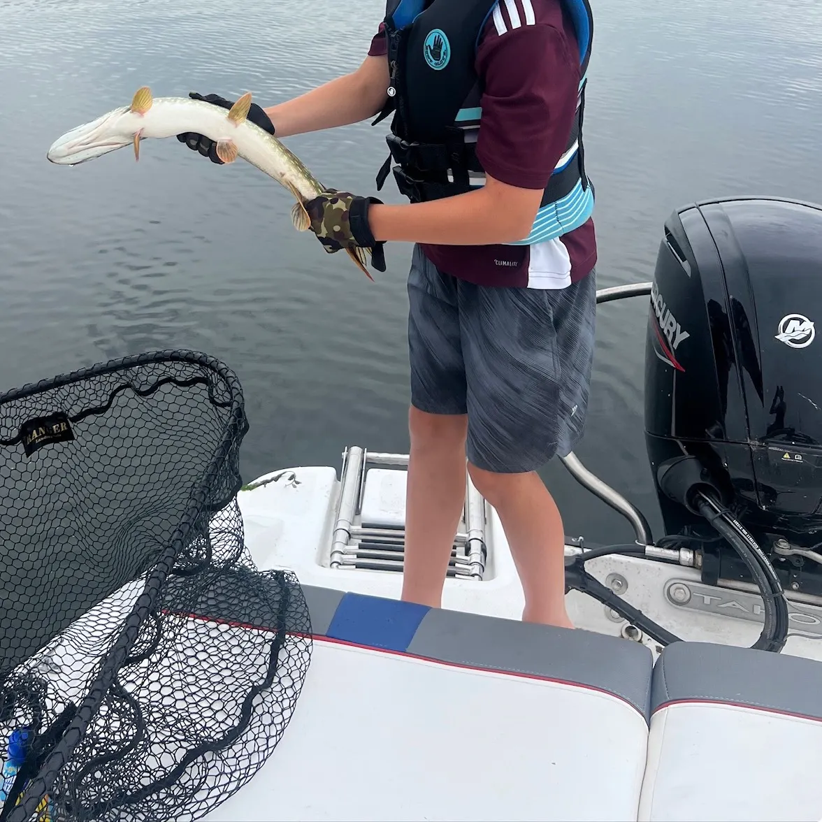 Northern pike caught on Fishbrain