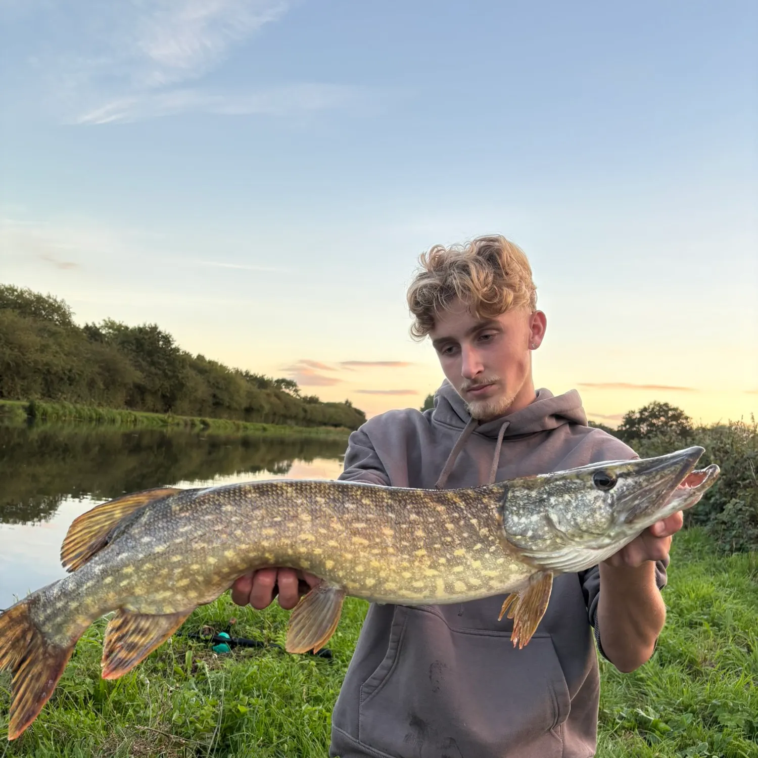 Northern pike caught on Fishbrain