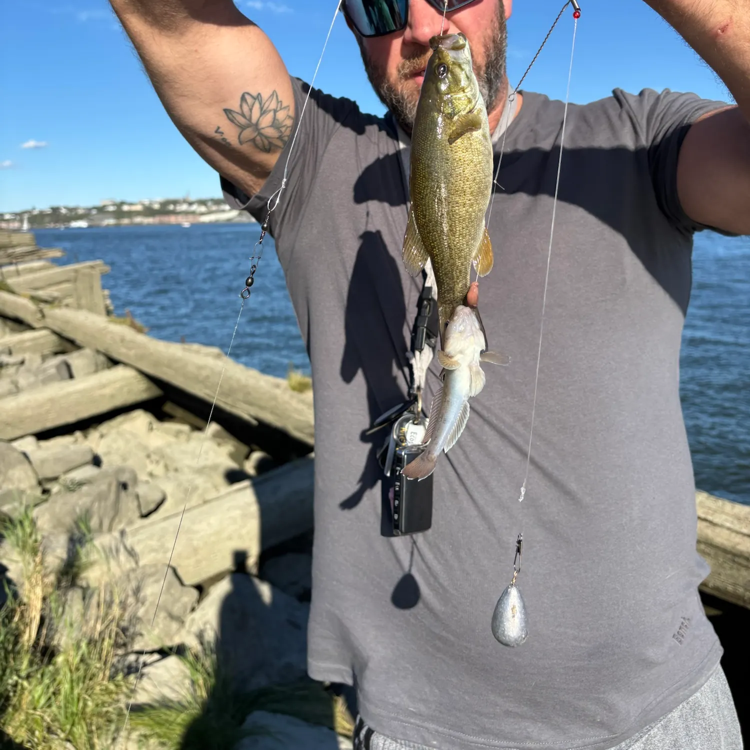 Smallmouth bass caught on Fishbrain