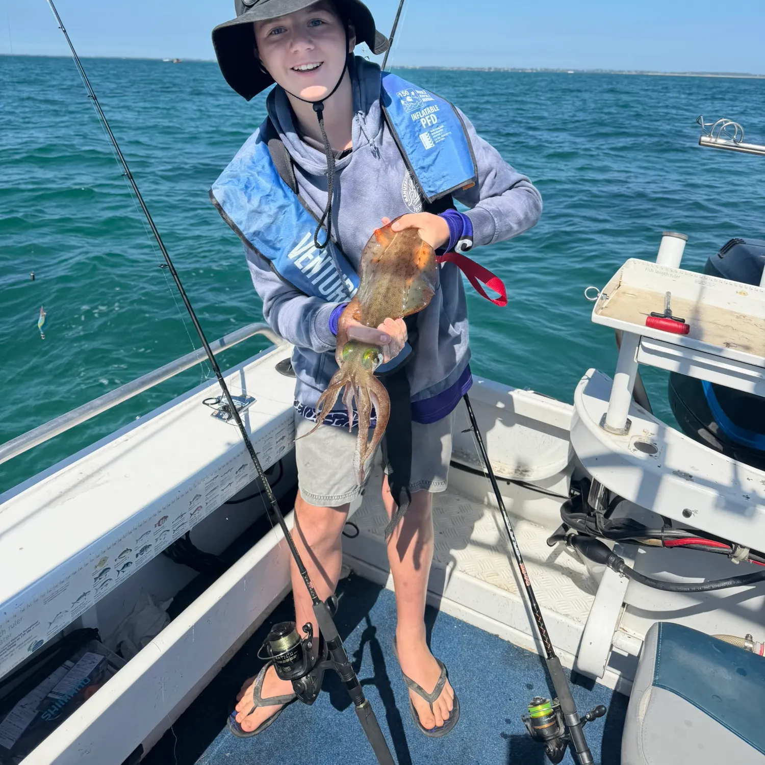 The most recent Southern calamari catches on Fishbrain