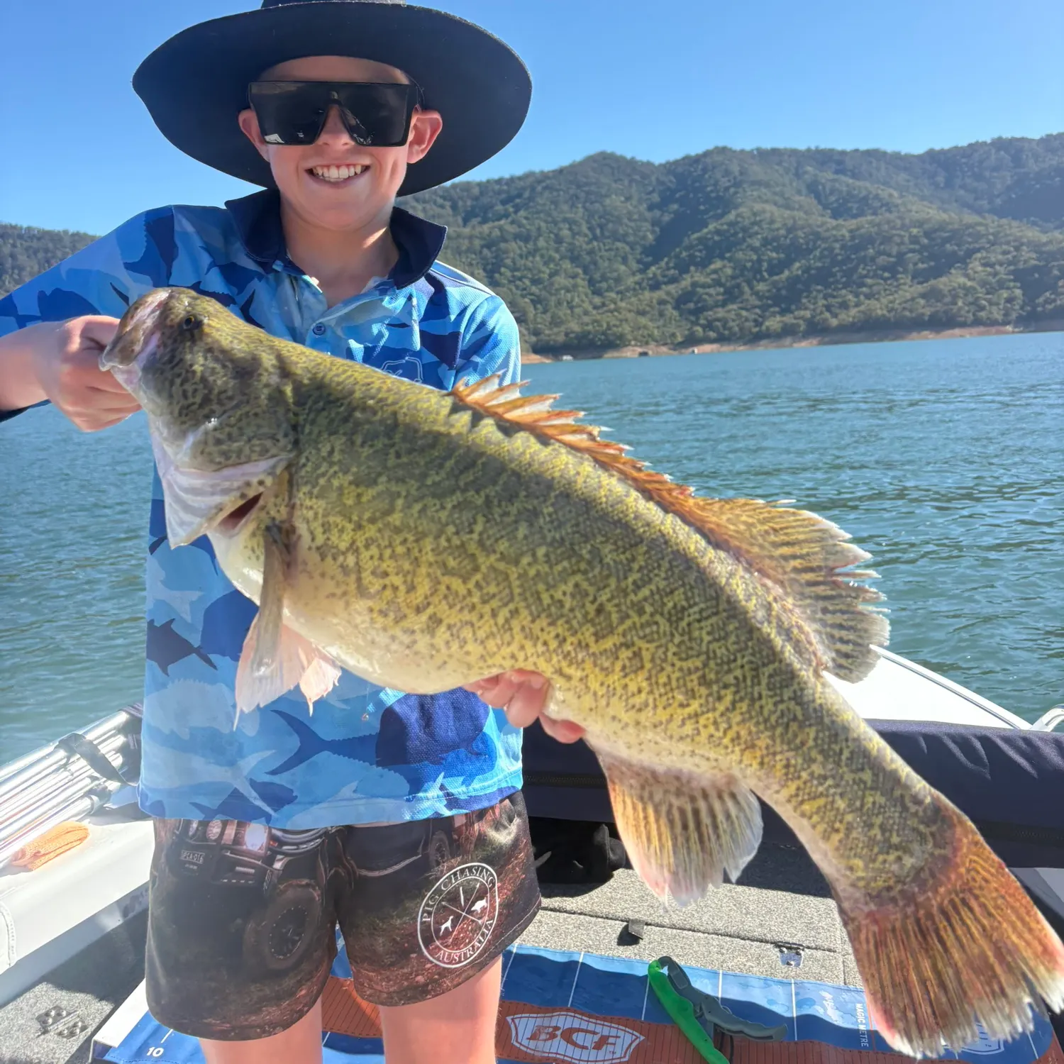 The most recent Murray cod catches on Fishbrain