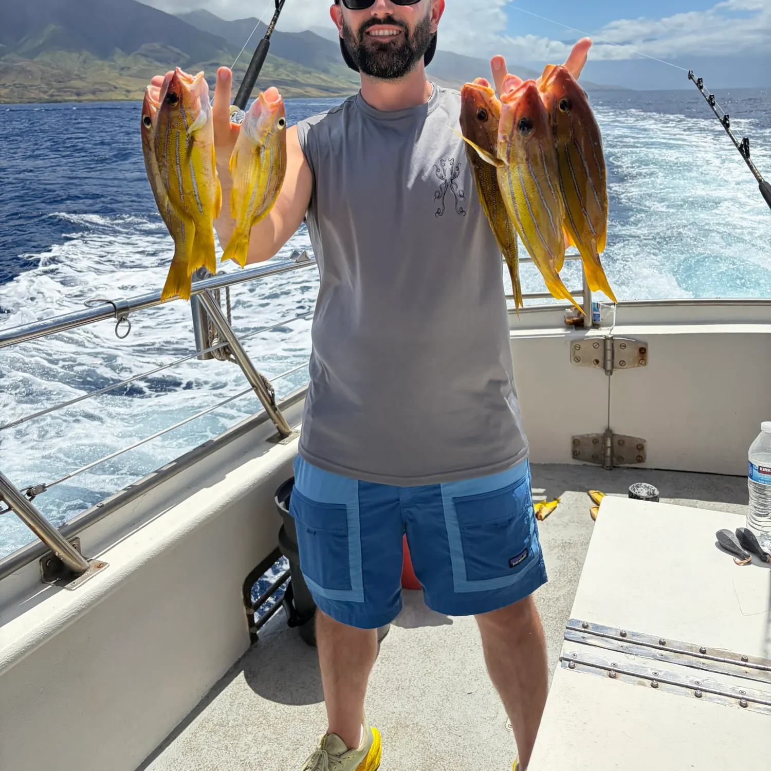 Common bluestripe snapper caught on Fishbrain