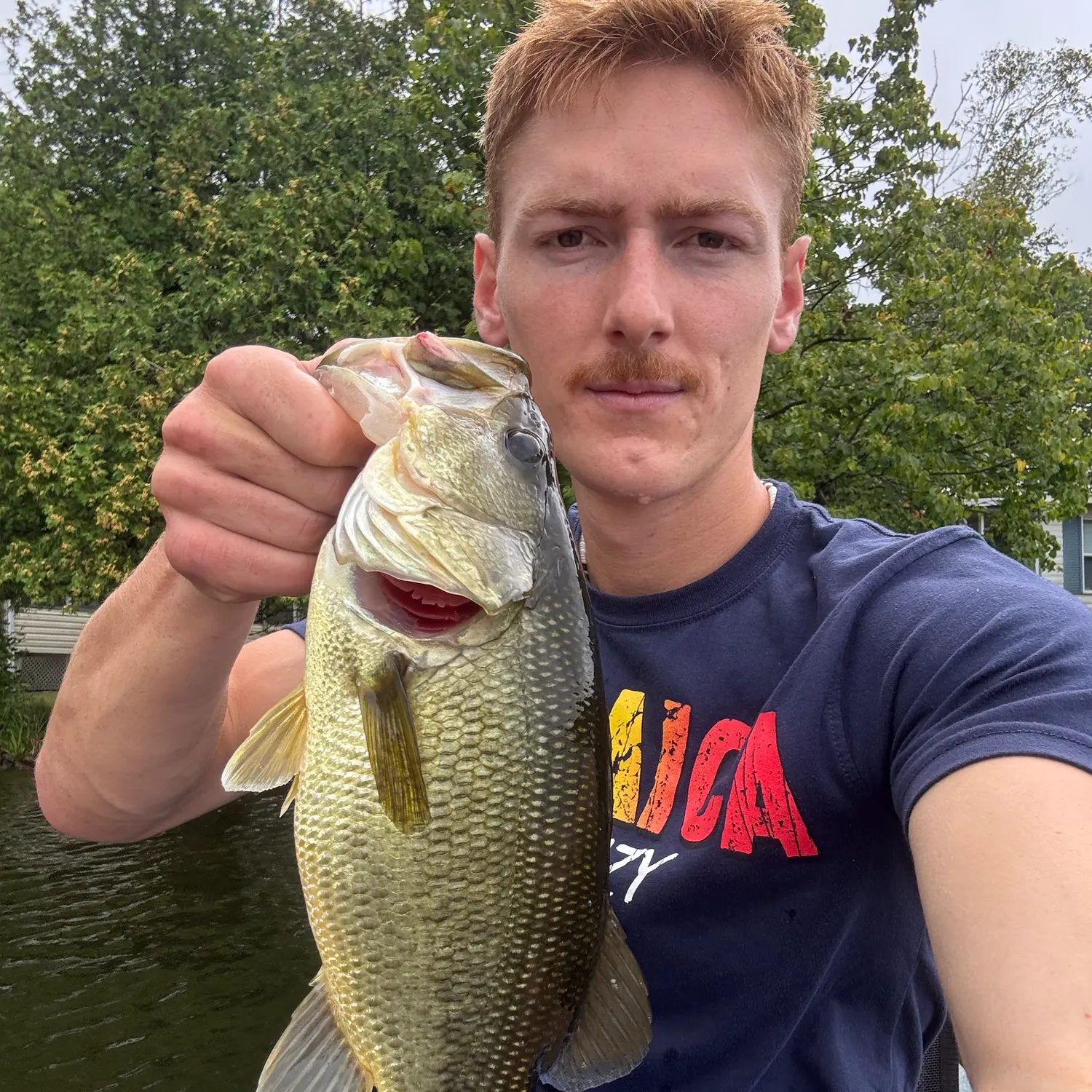 Largemouth bass caught on Fishbrain