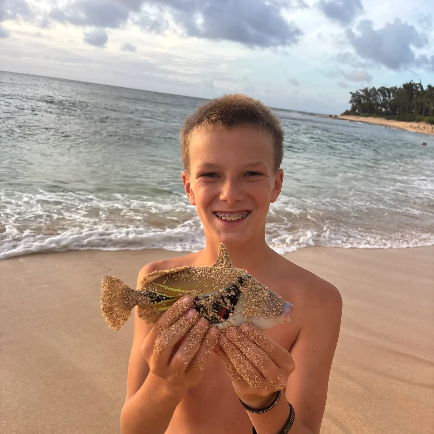The most recent Wedge-tail triggerfish catches on Fishbrain