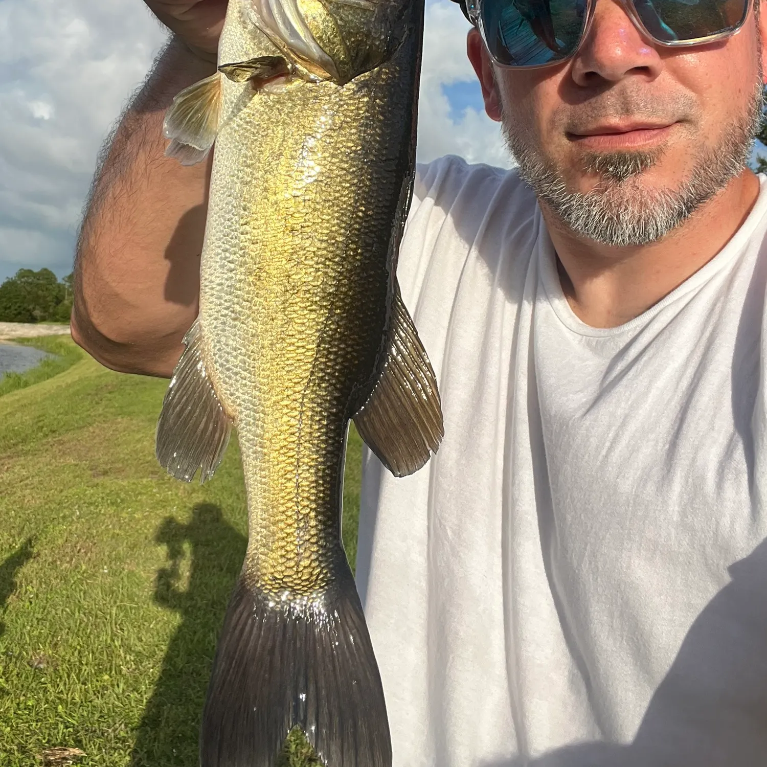 Largemouth bass caught on Fishbrain