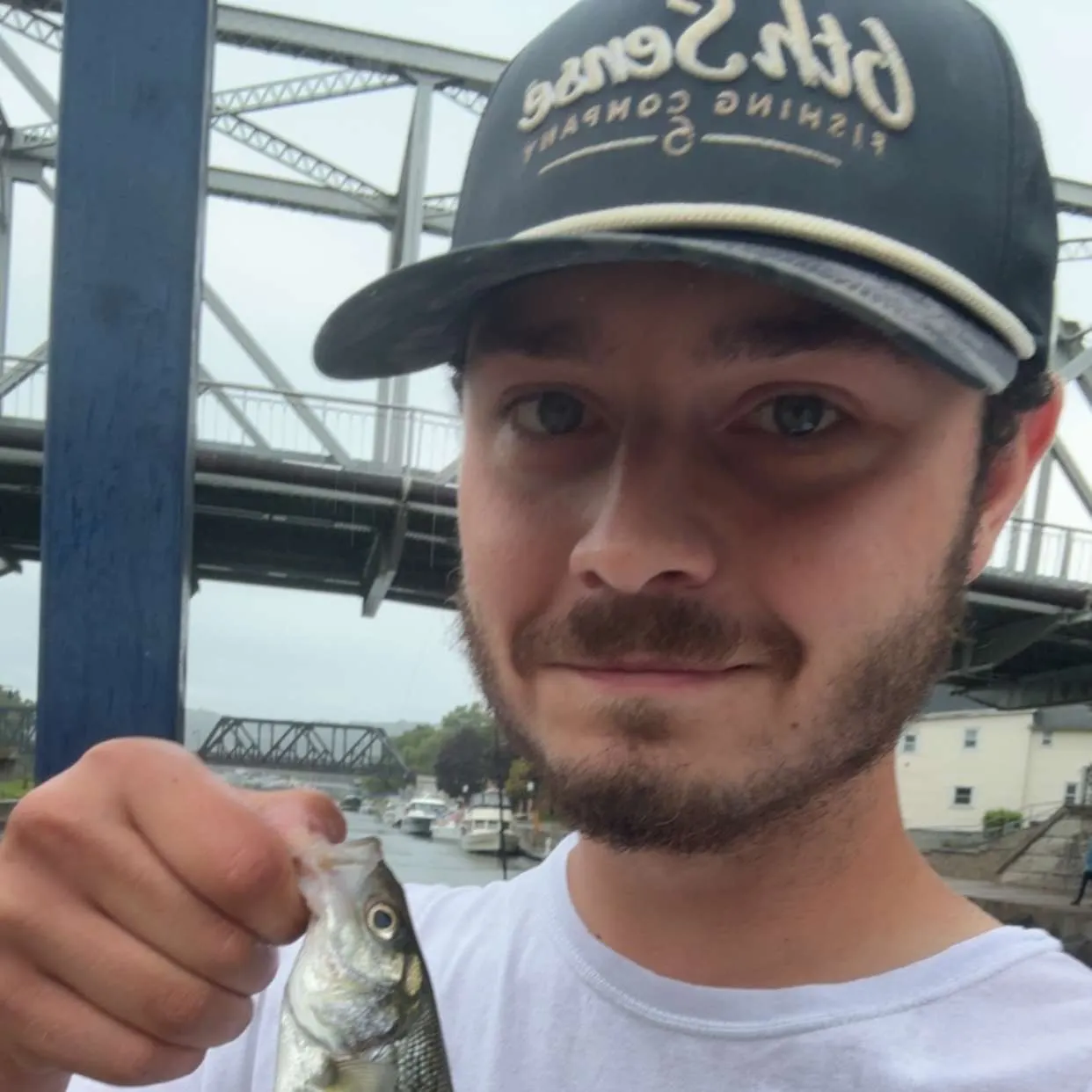 Striped bass caught on Fishbrain