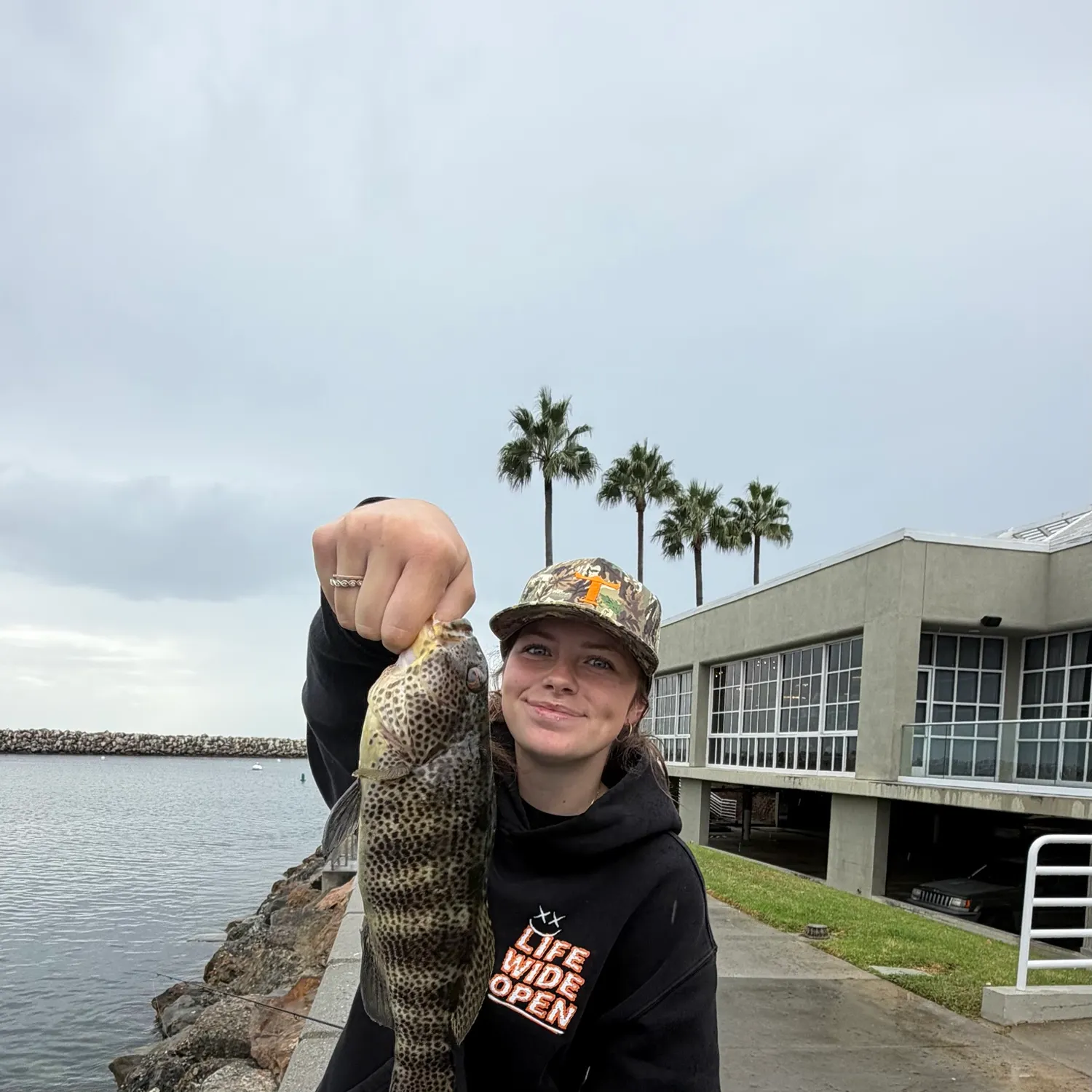 Spotted sand bass caught on Fishbrain