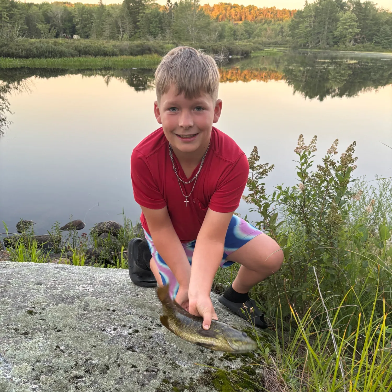 Smallmouth bass caught on Fishbrain