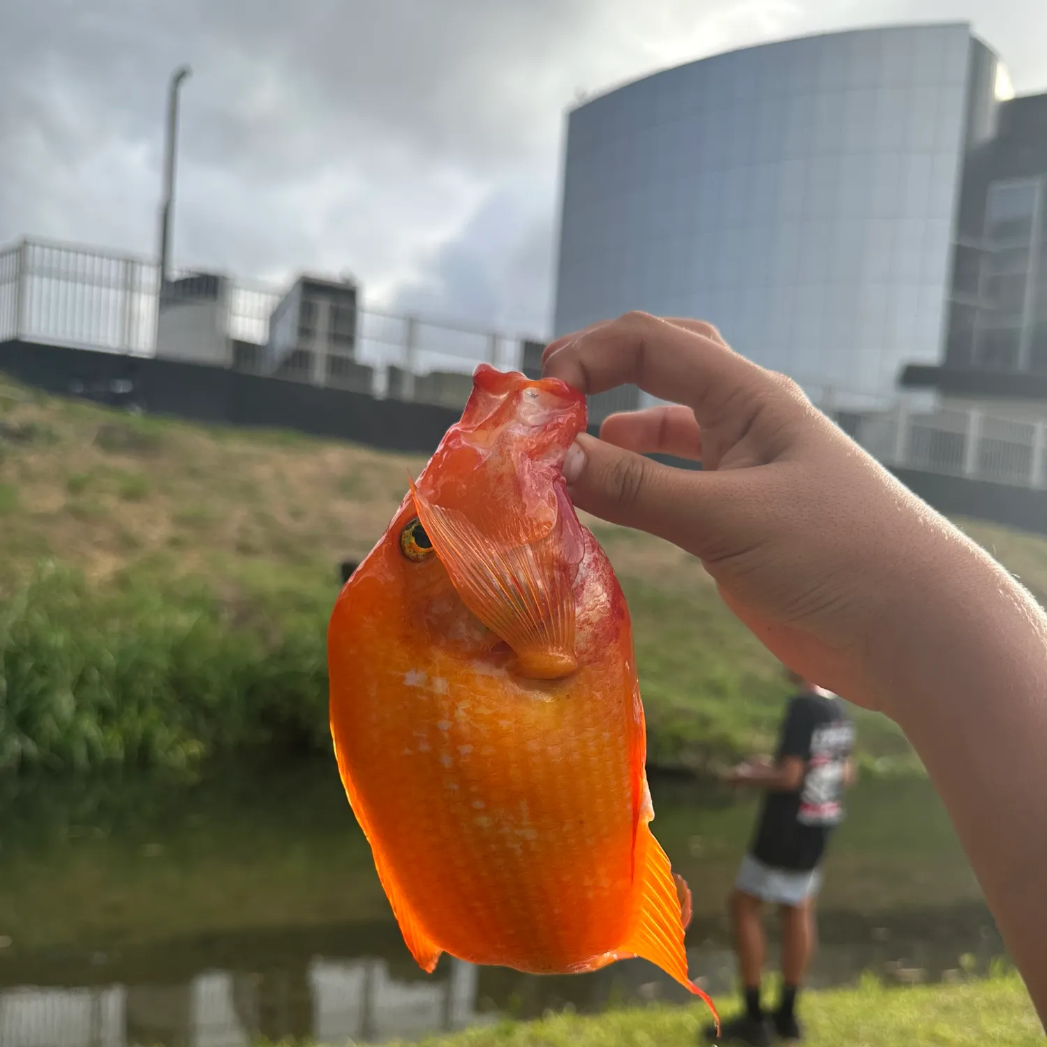 catch