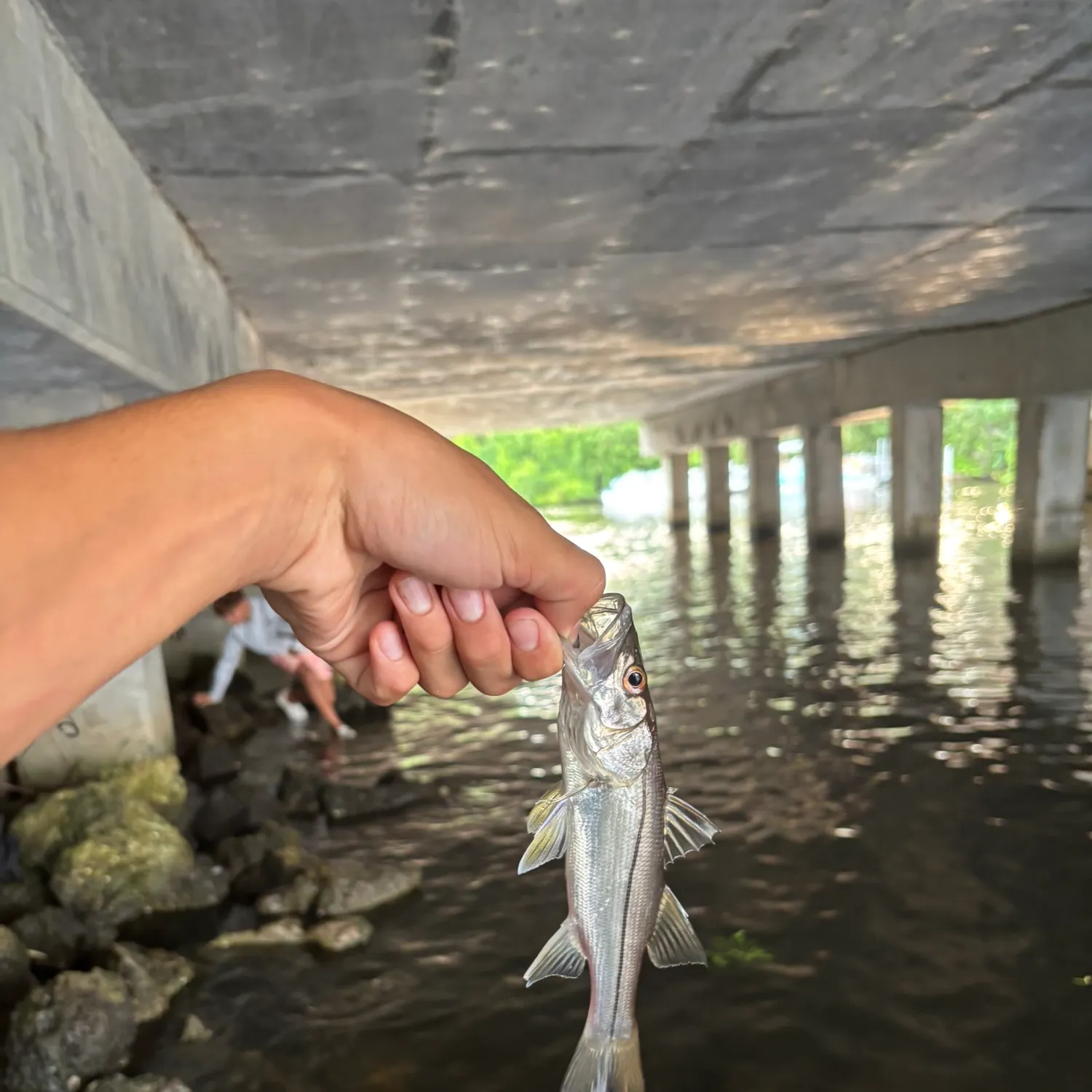 catch