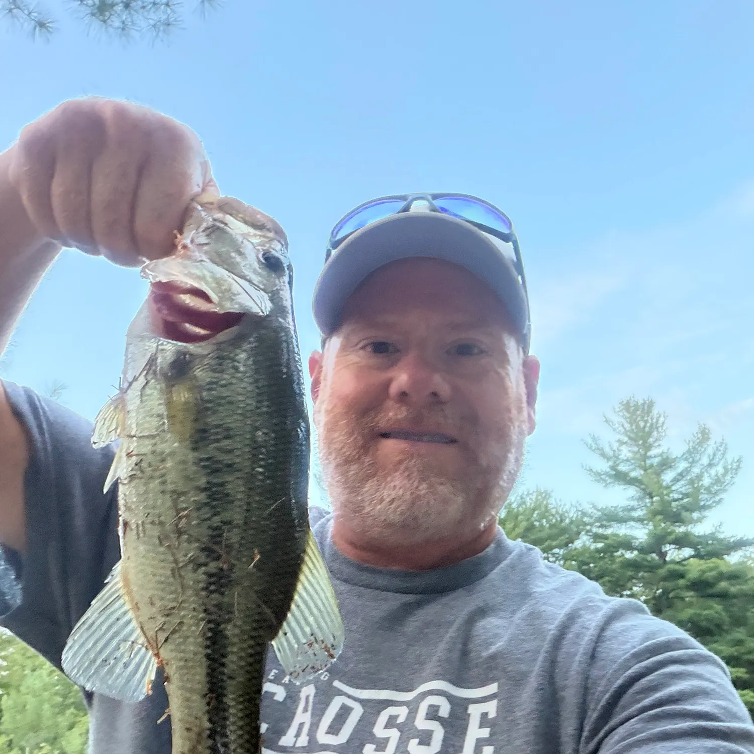 Largemouth bass caught on Fishbrain