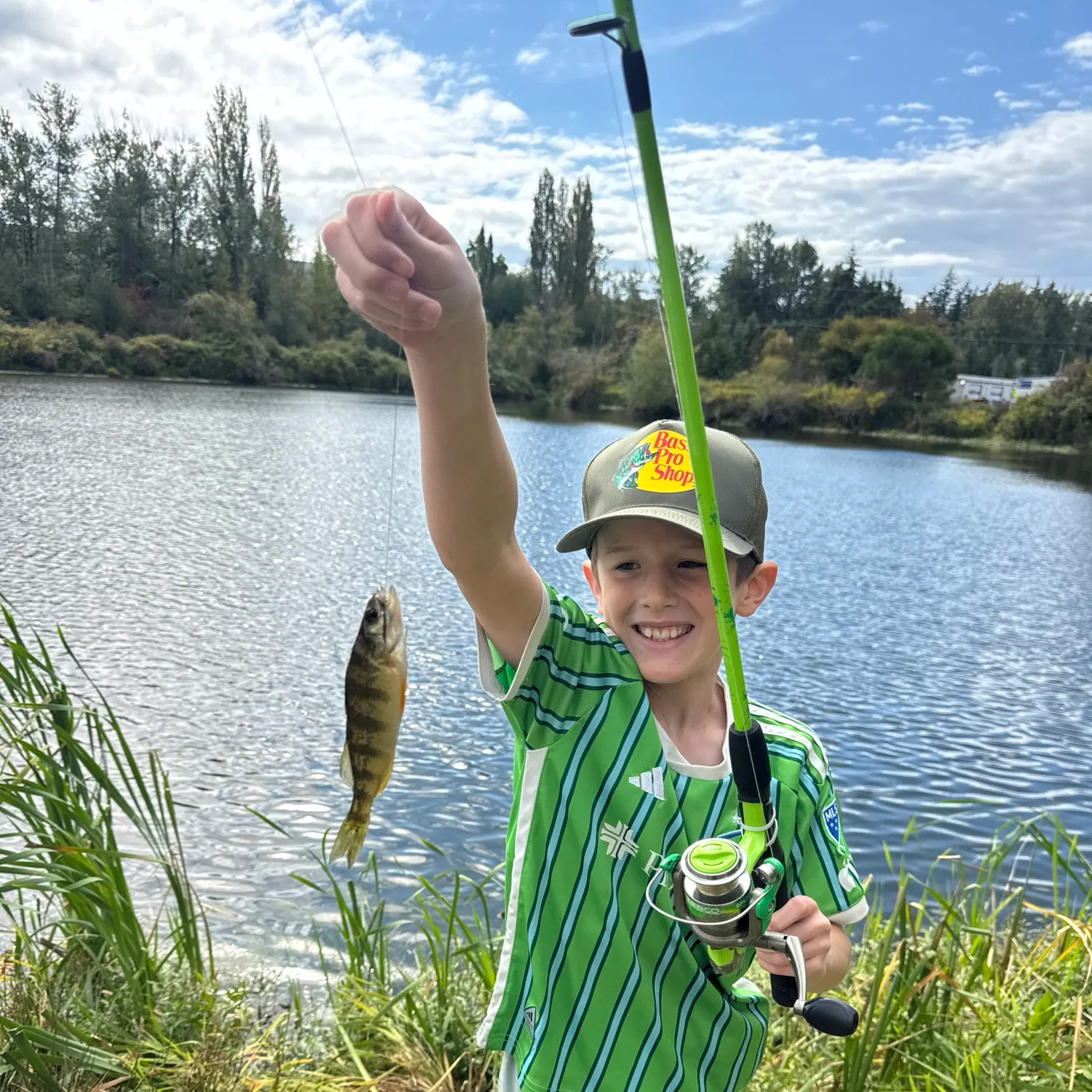Yellow perch caught on Fishbrain