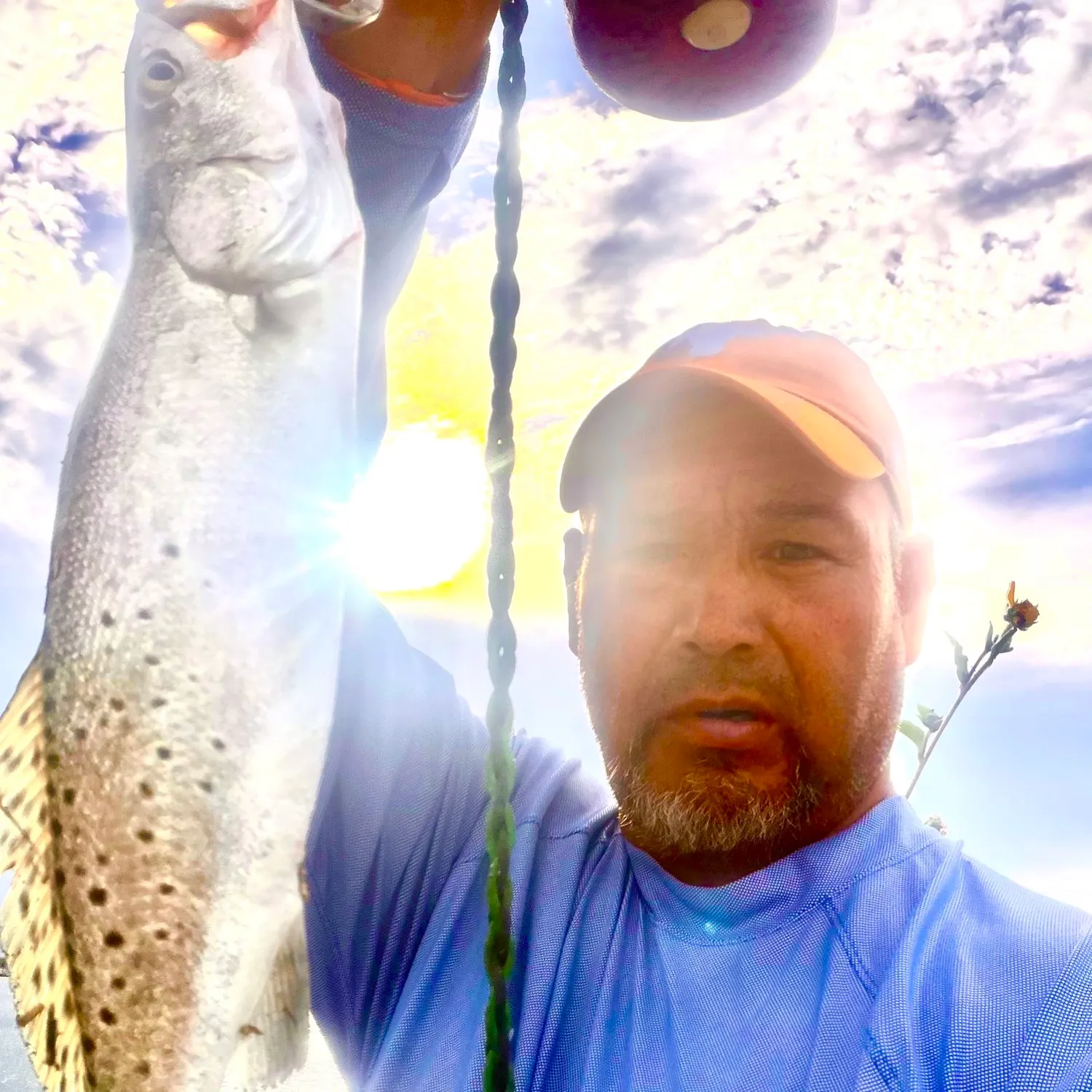 Spotted seatrout caught on Fishbrain