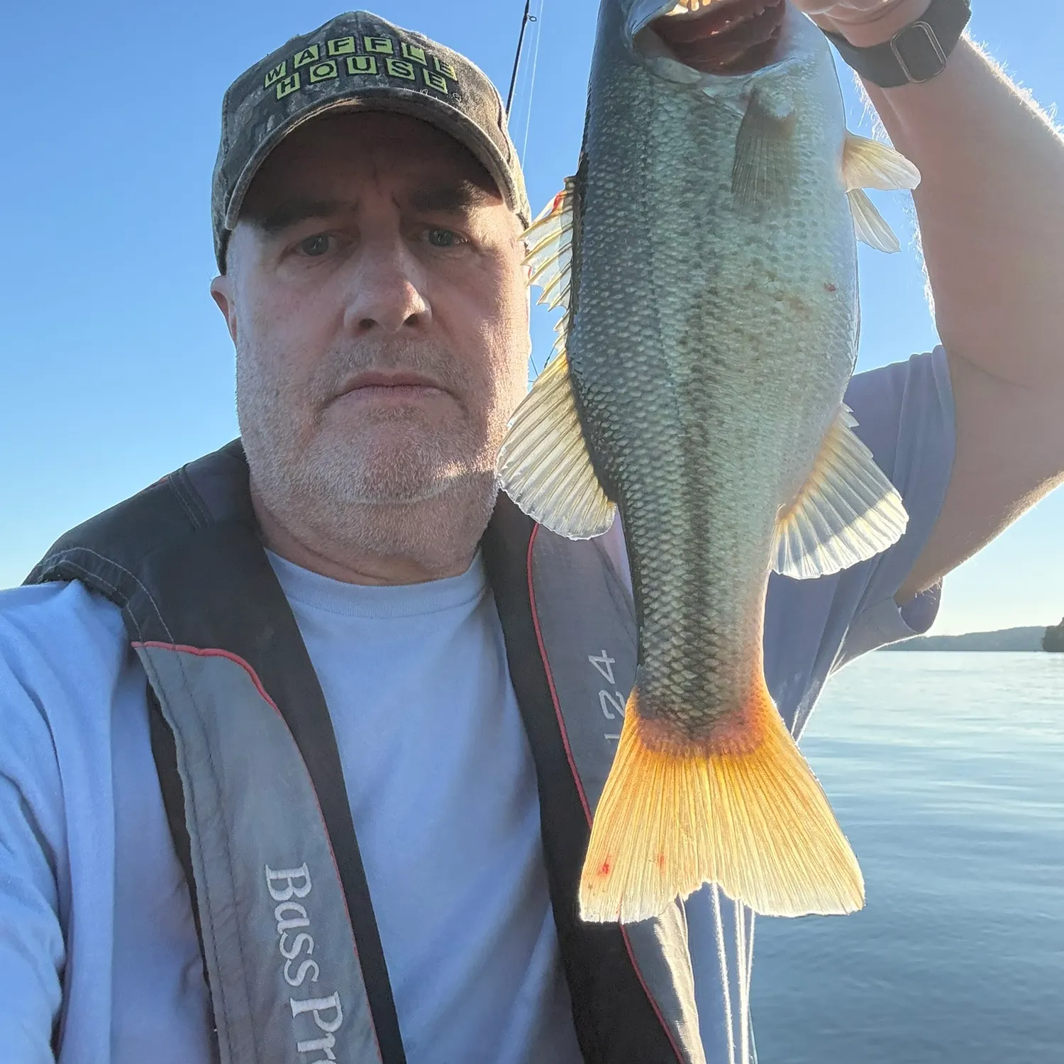 Largemouth bass caught on Fishbrain