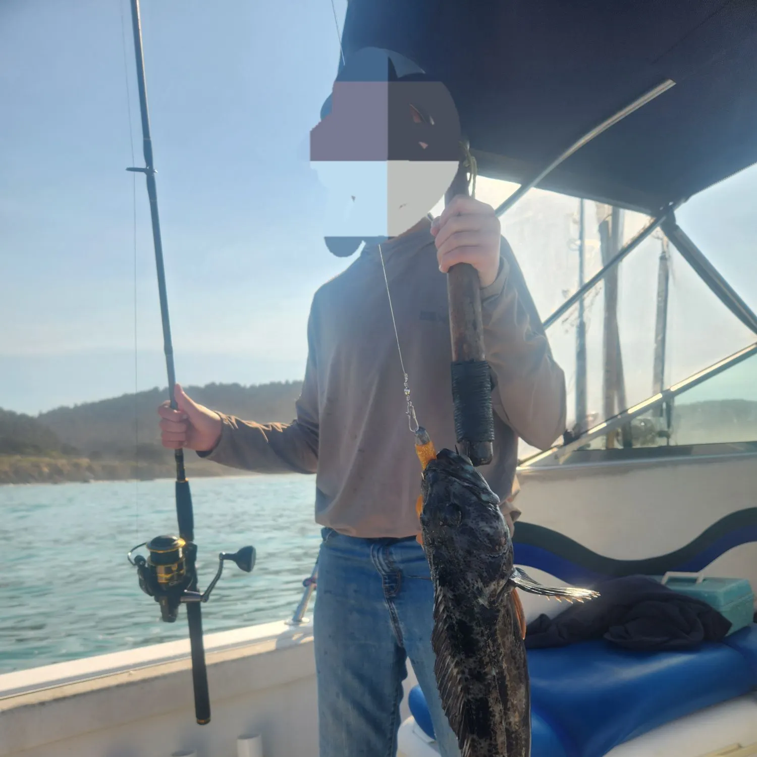 The most recent Lingcod catches on Fishbrain