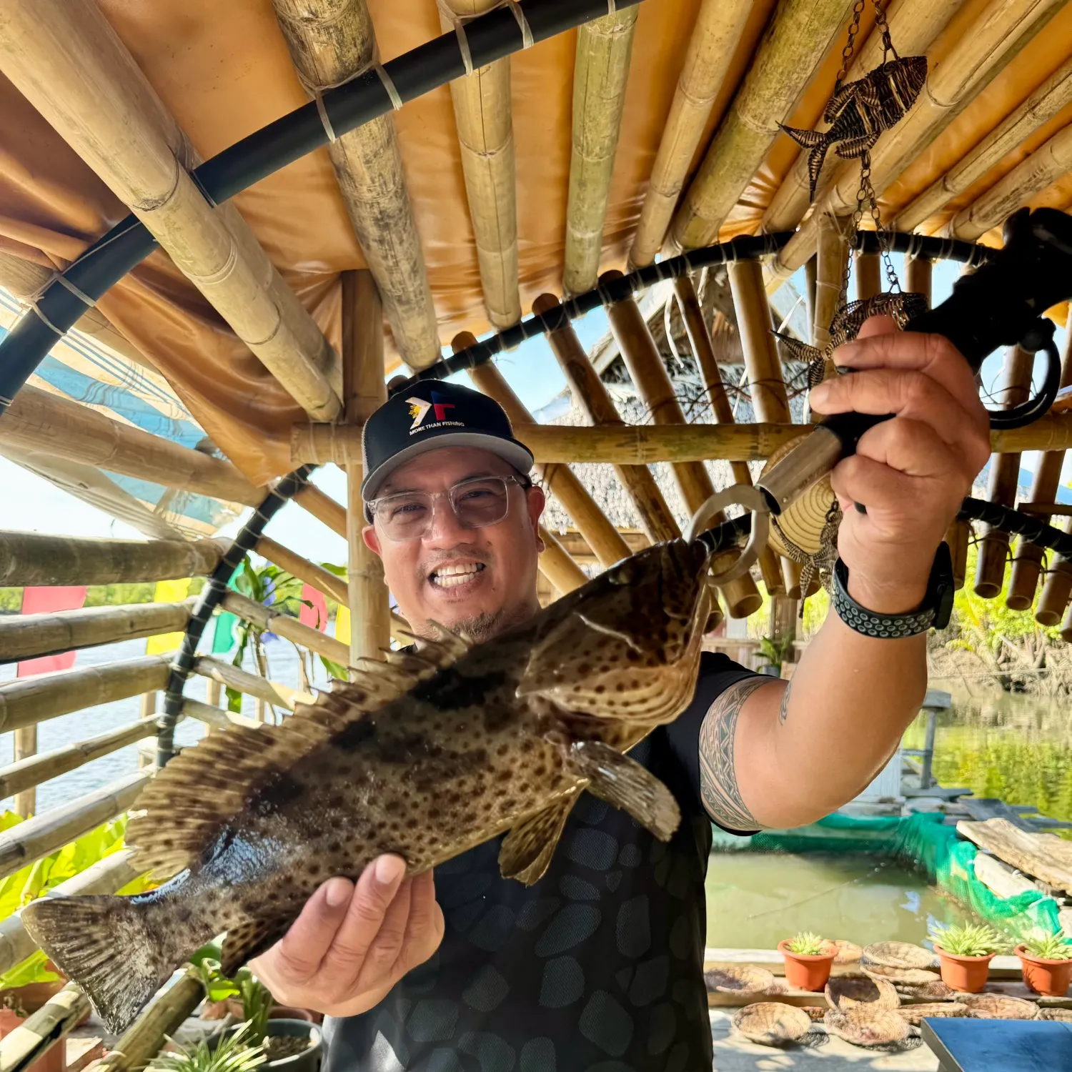 The most recent Areolate grouper catches on Fishbrain