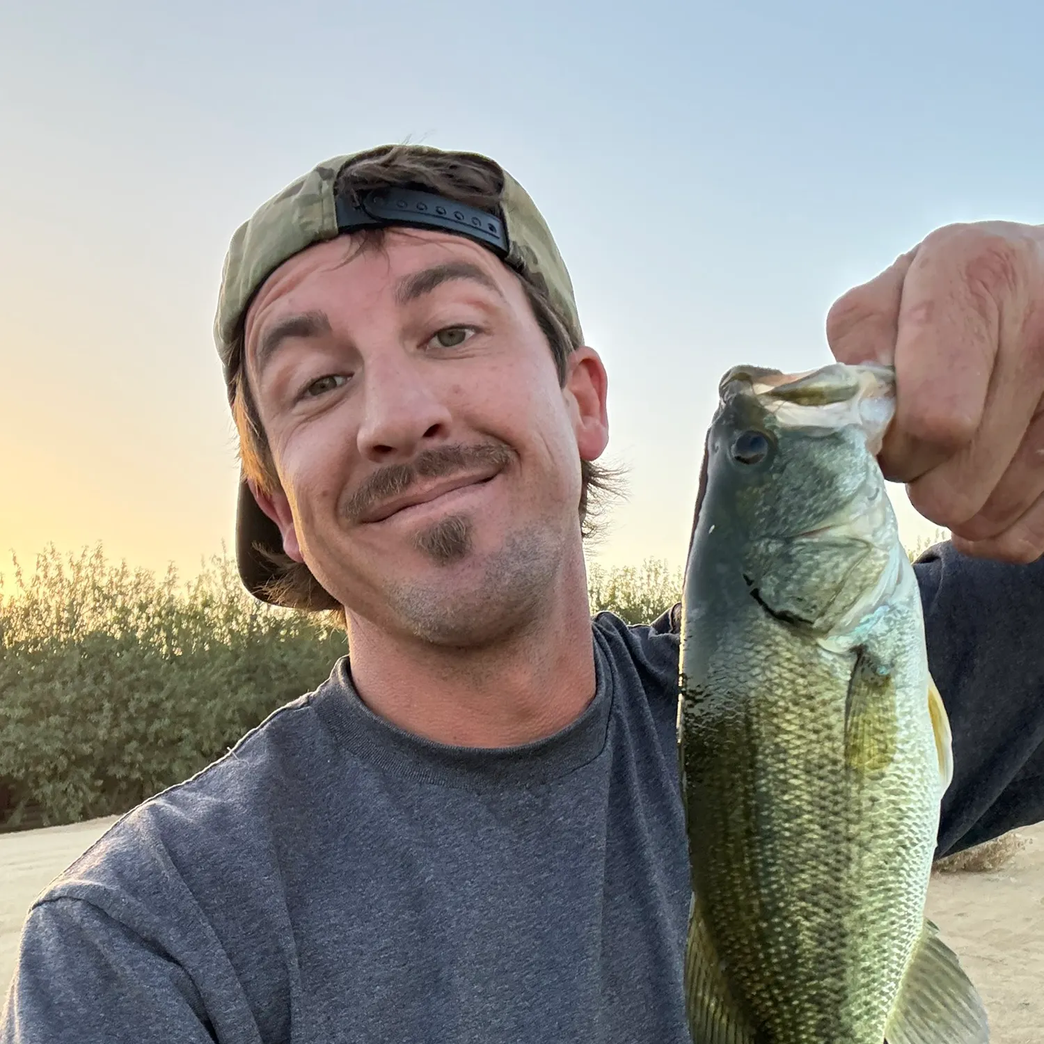 Fish caught on Fishbrain