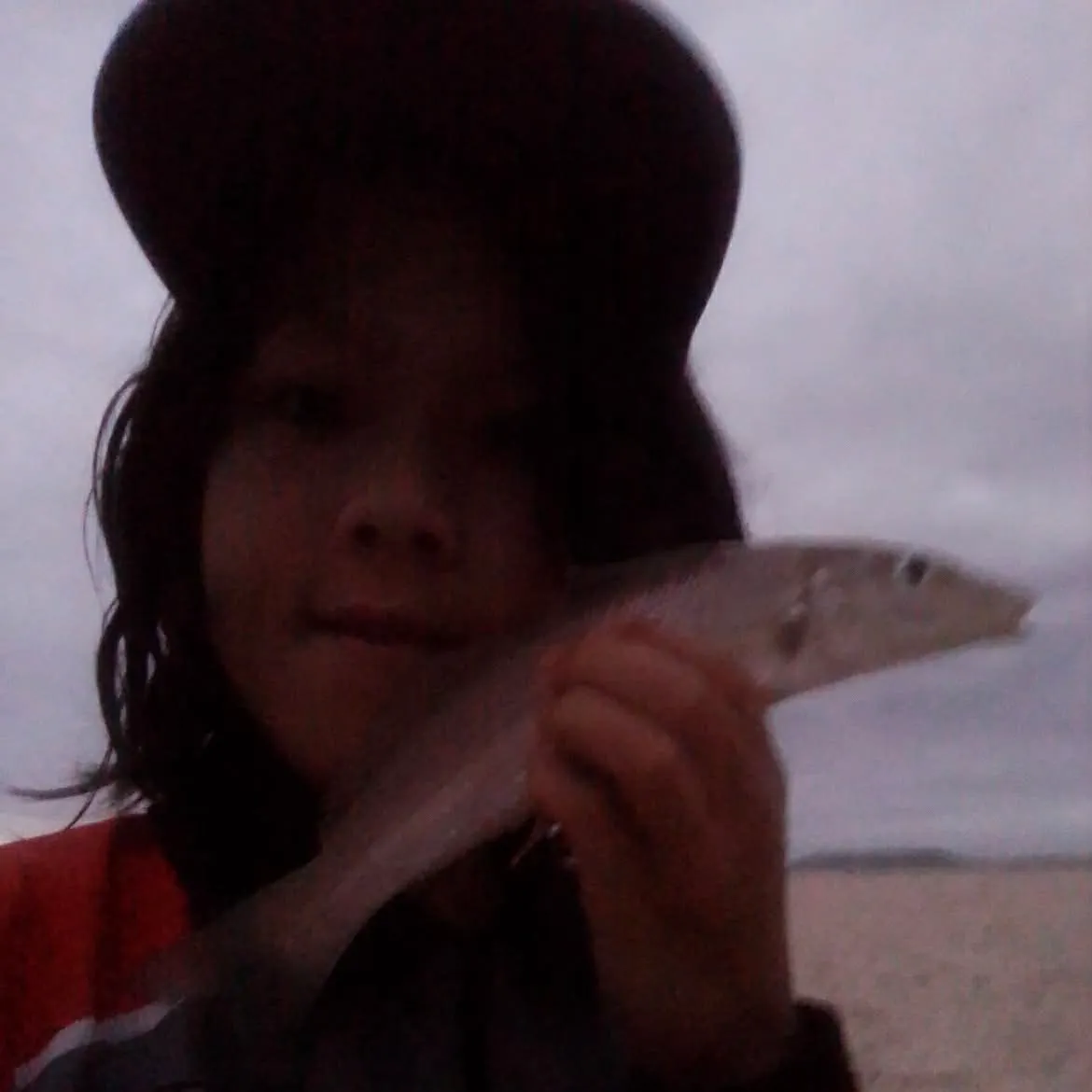 The most recent Sand sillago catches on Fishbrain