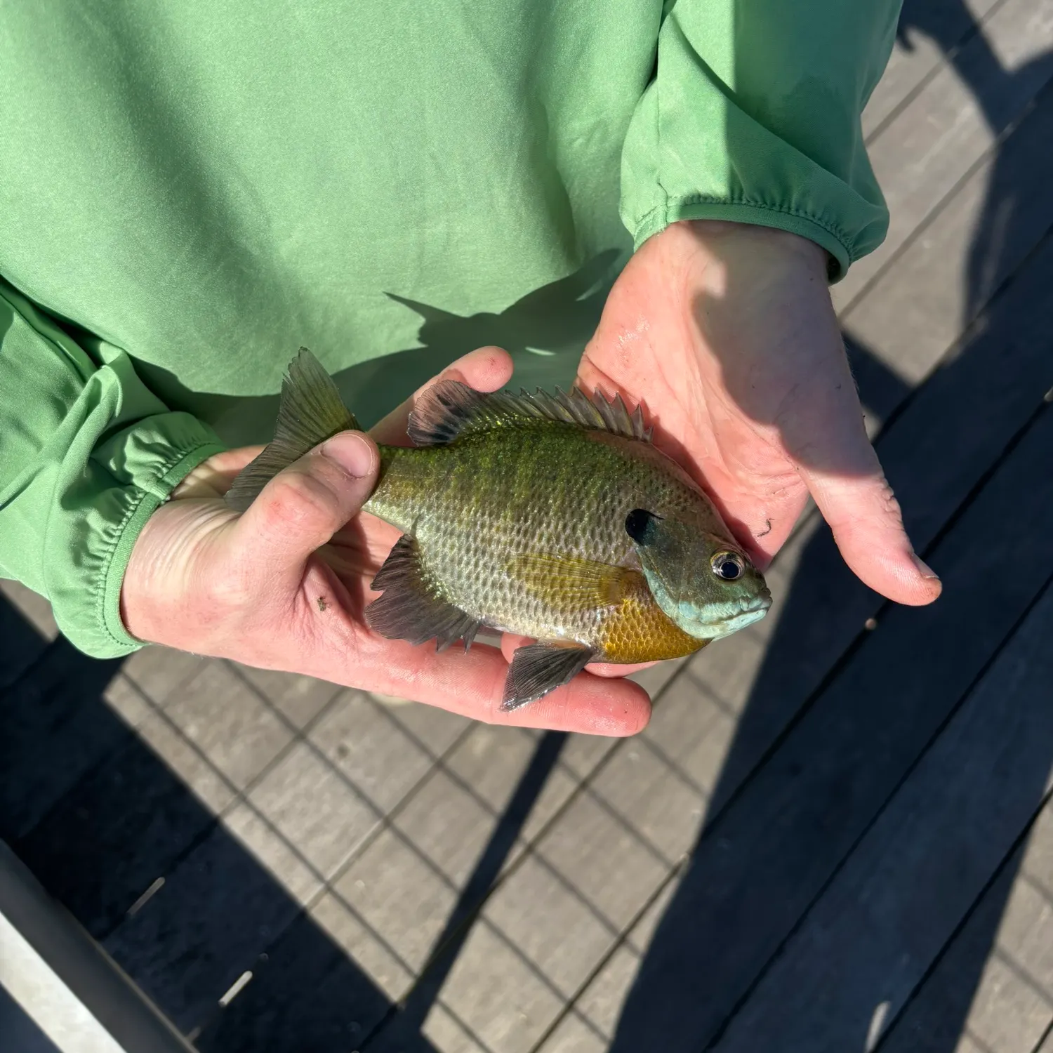 catch