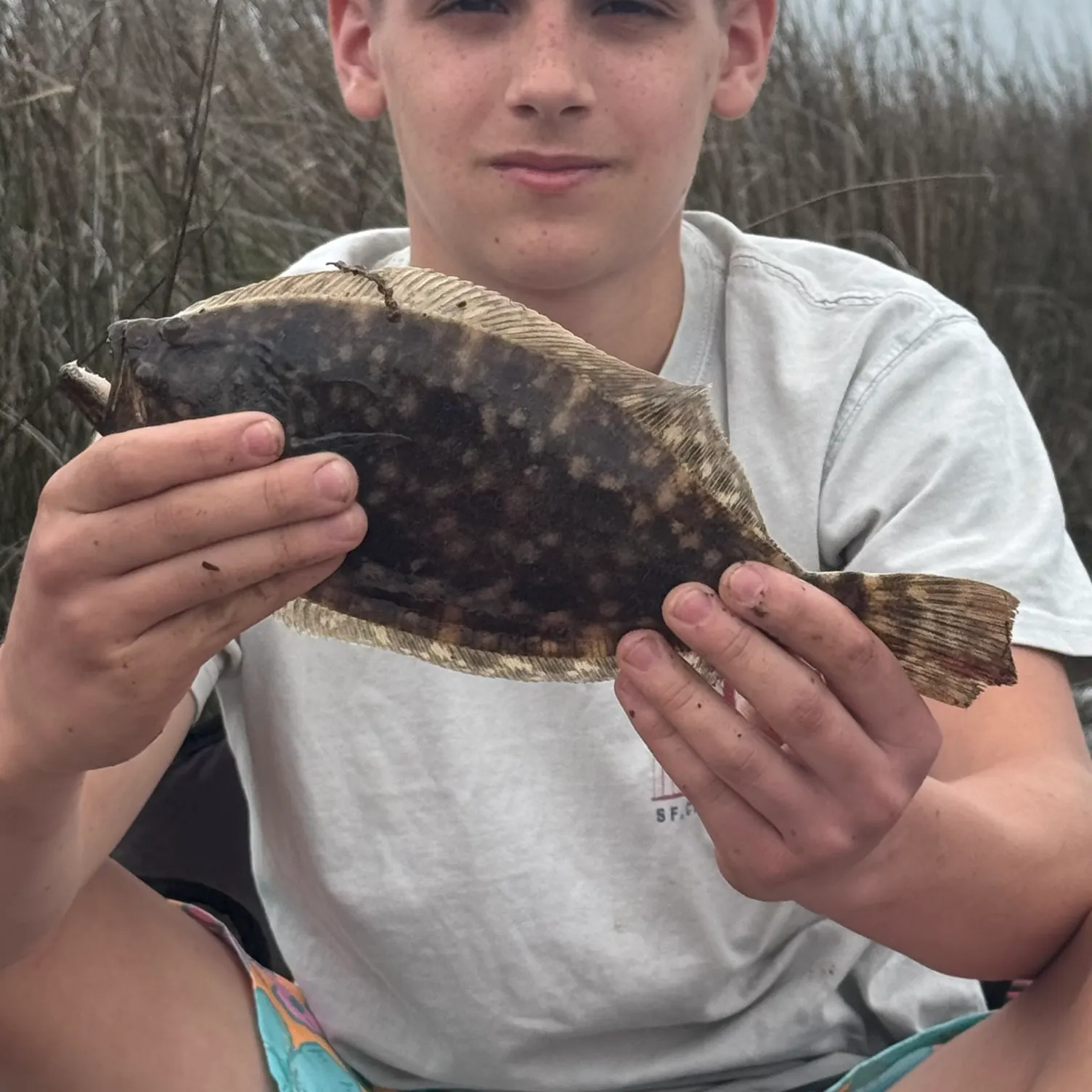 The most recent Summer flounder catches on Fishbrain