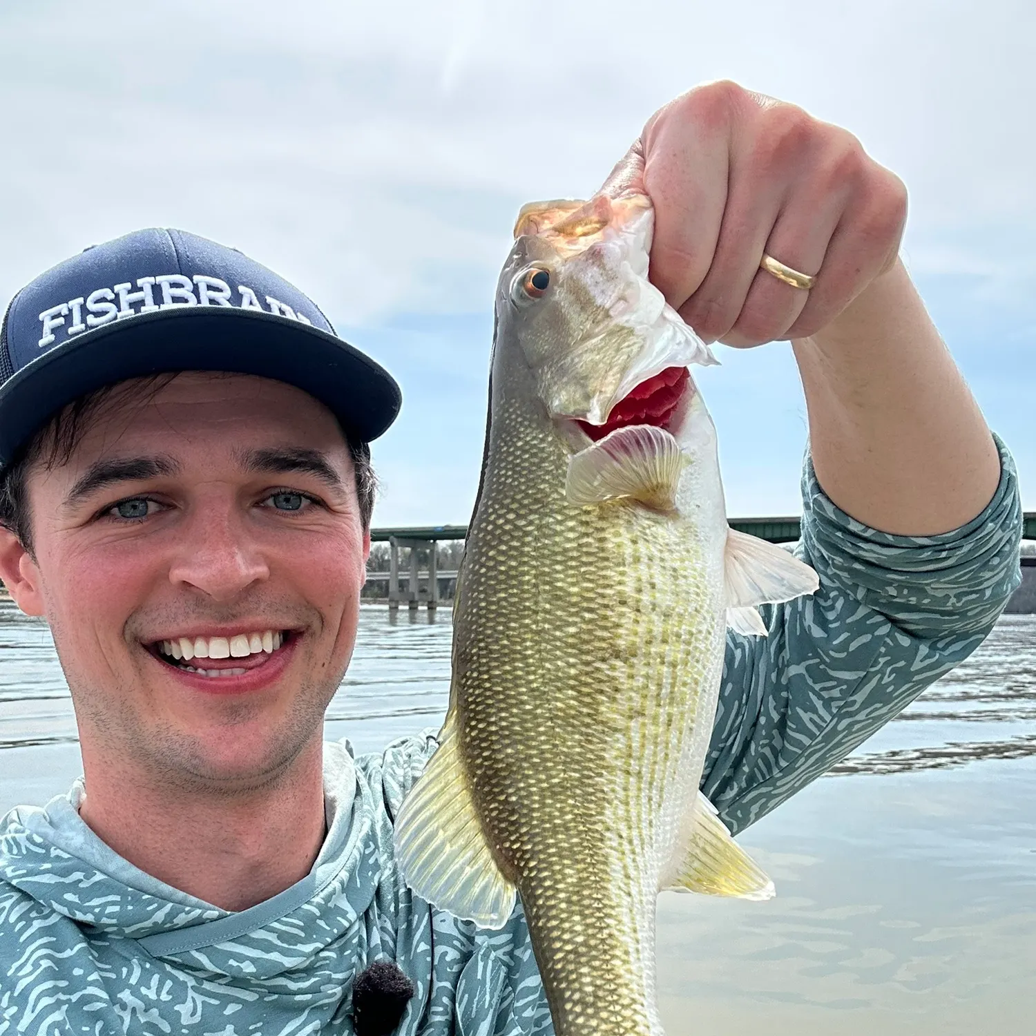 The most recent Alabama bass catches on Fishbrain