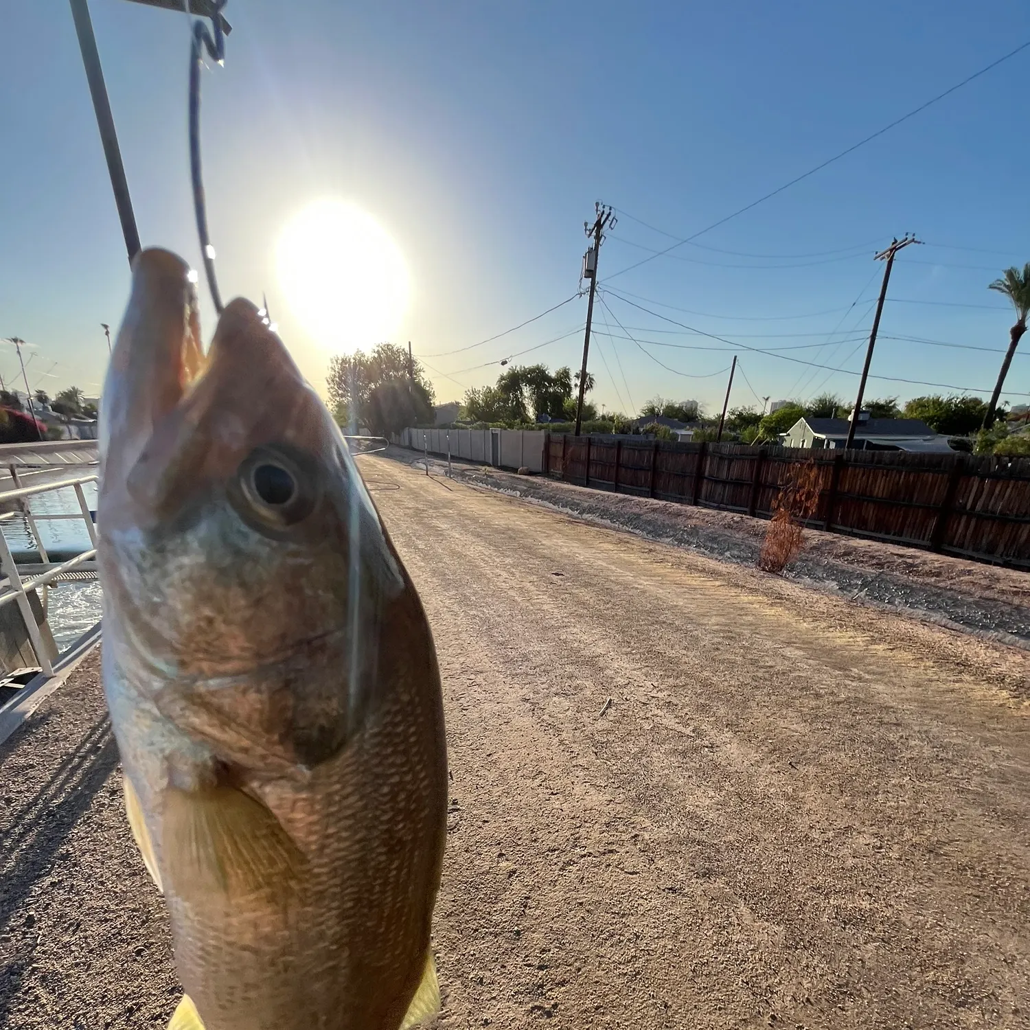 catch