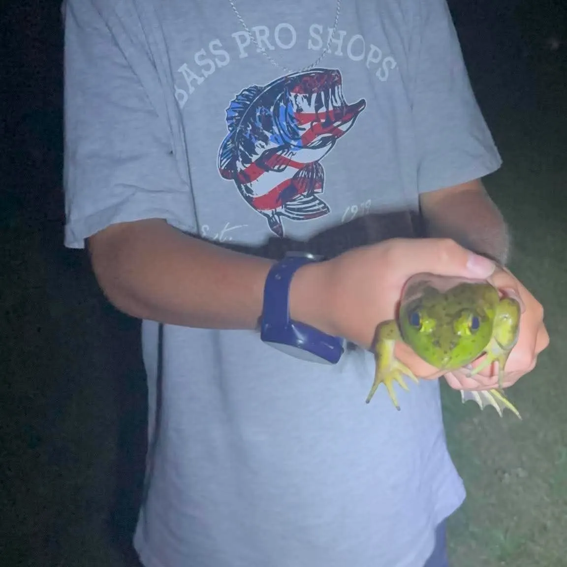 The most recent Northern leopard frog catches on Fishbrain