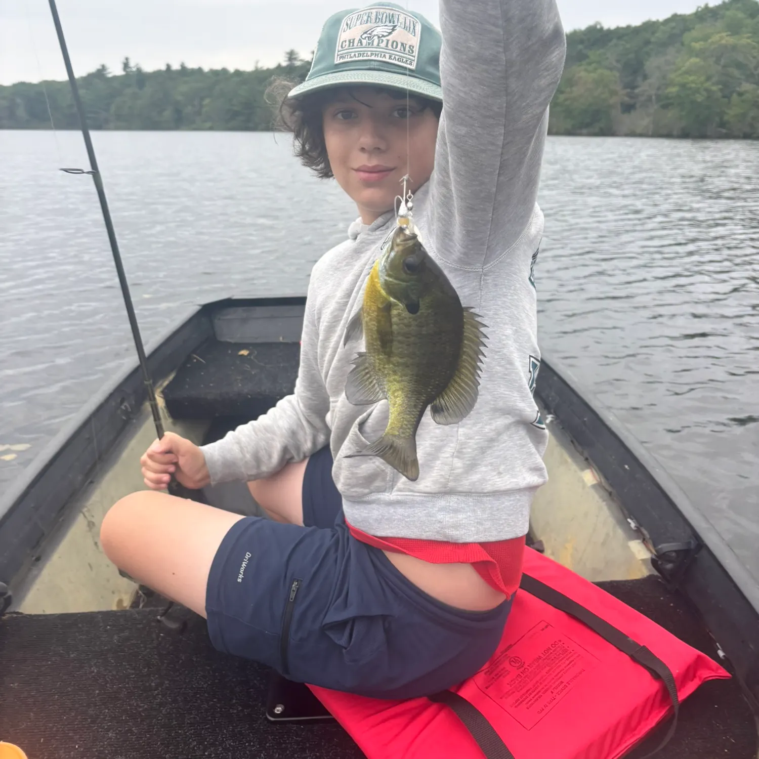Bluegill caught on Fishbrain