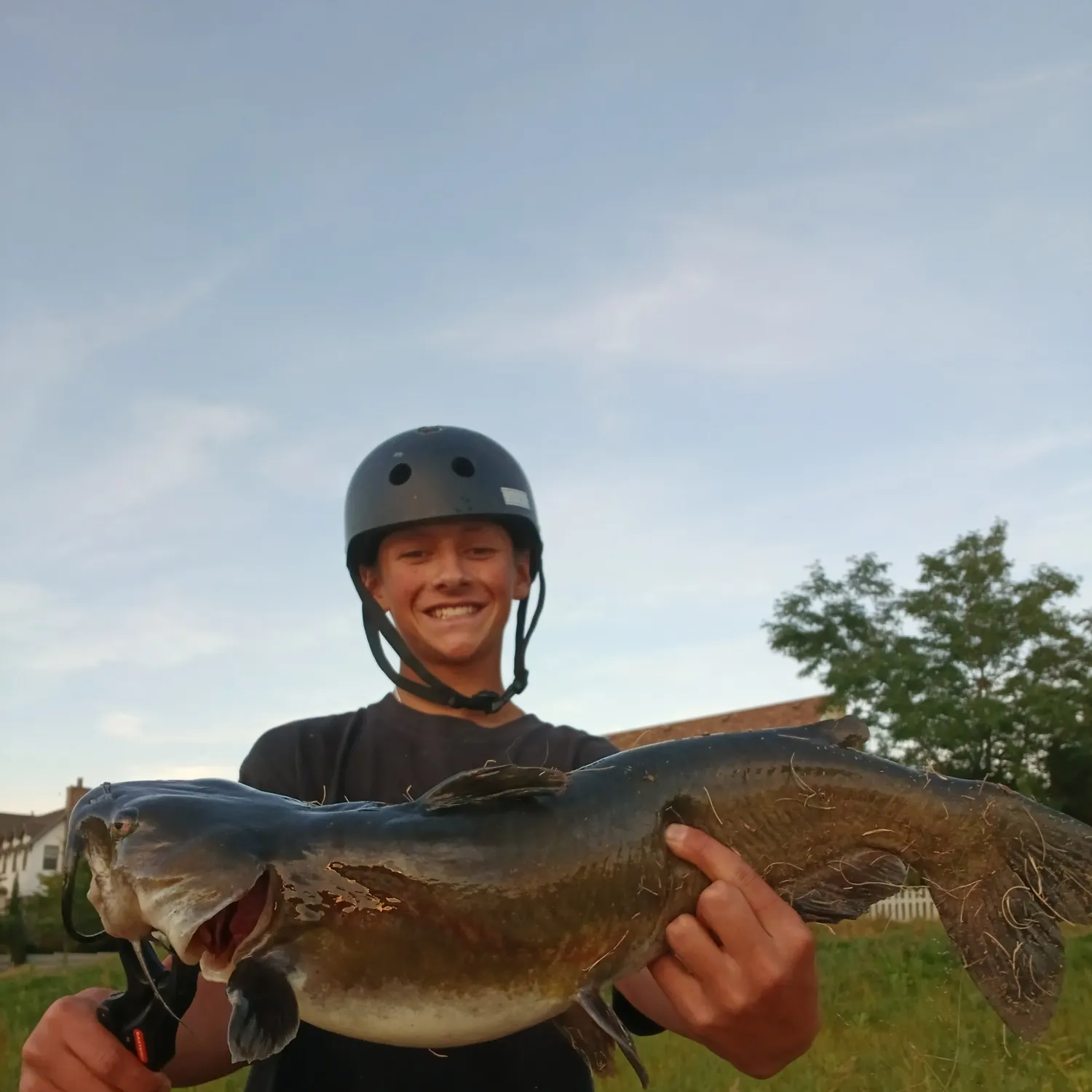Channel catfish caught on Fishbrain