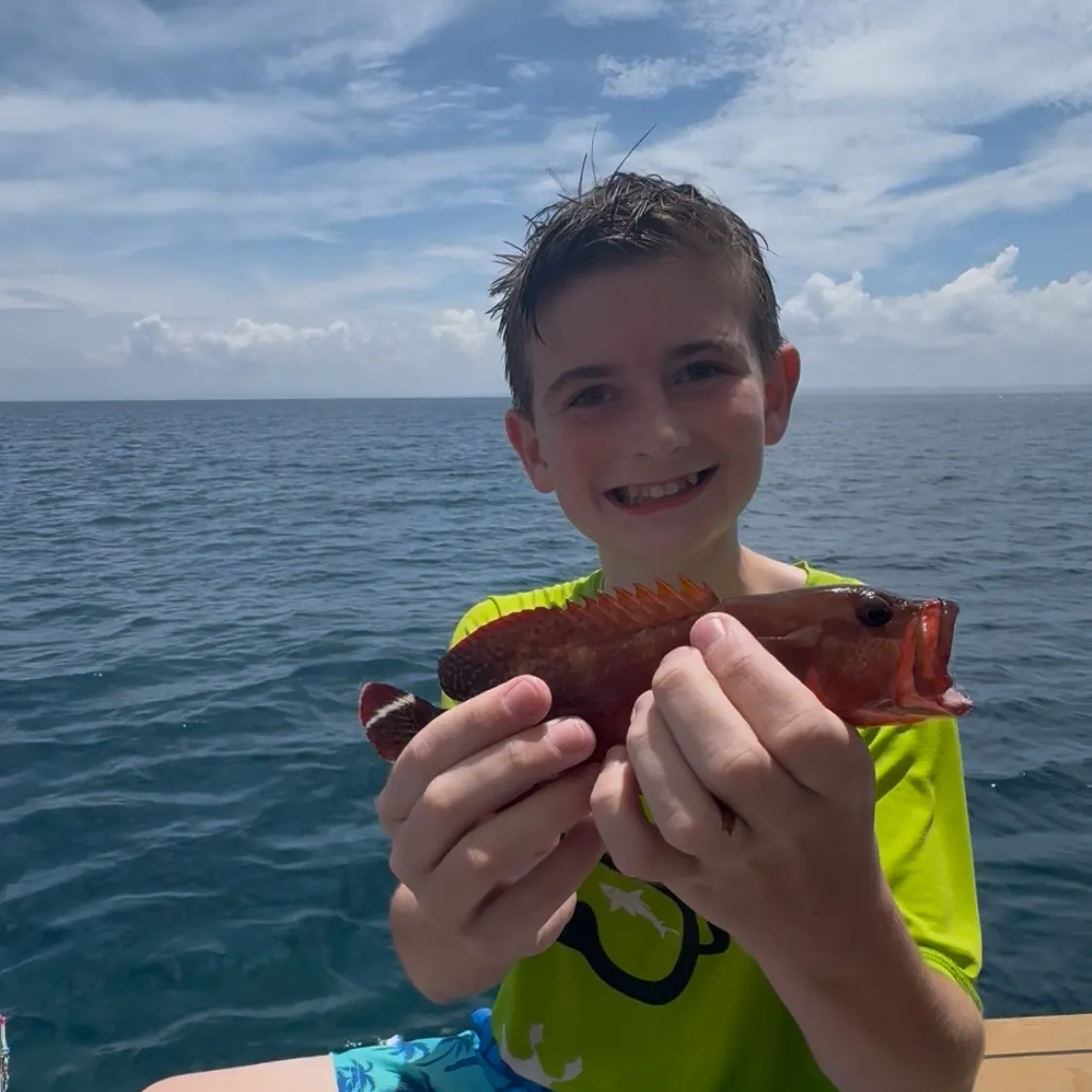 The most recent Darkfin hind catches on Fishbrain