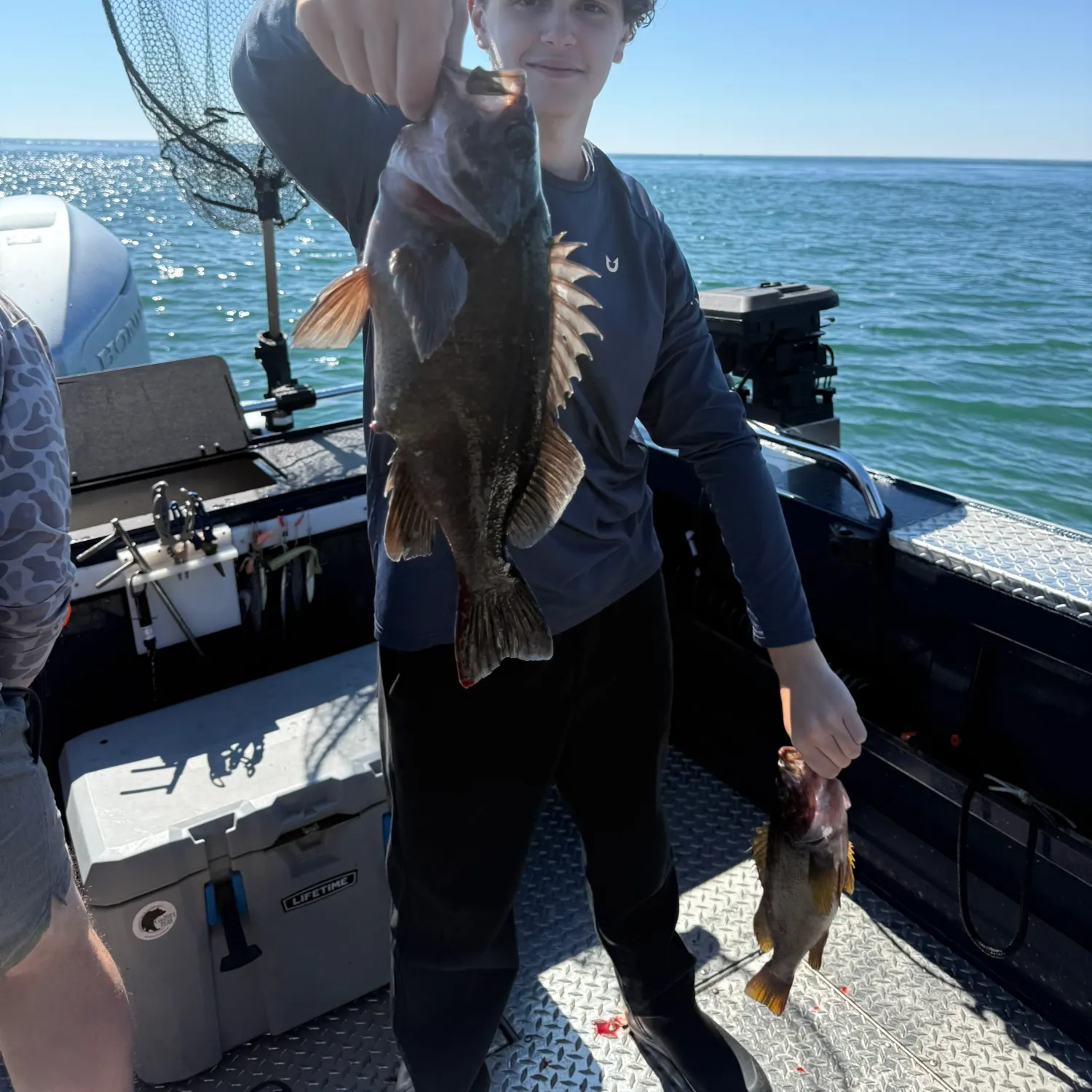 The most recent Dusky rockfish catches on Fishbrain
