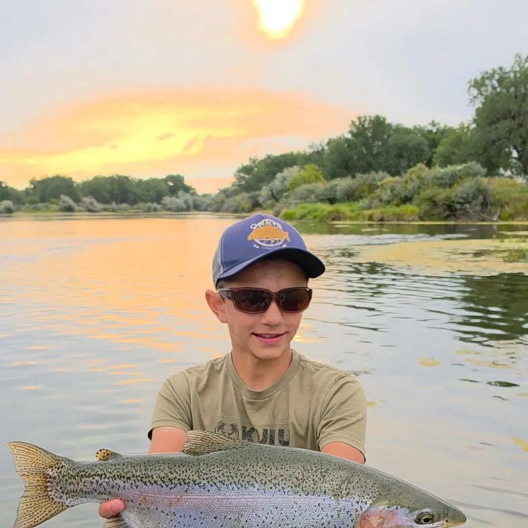 Rainbow trout caught on Fishbrain