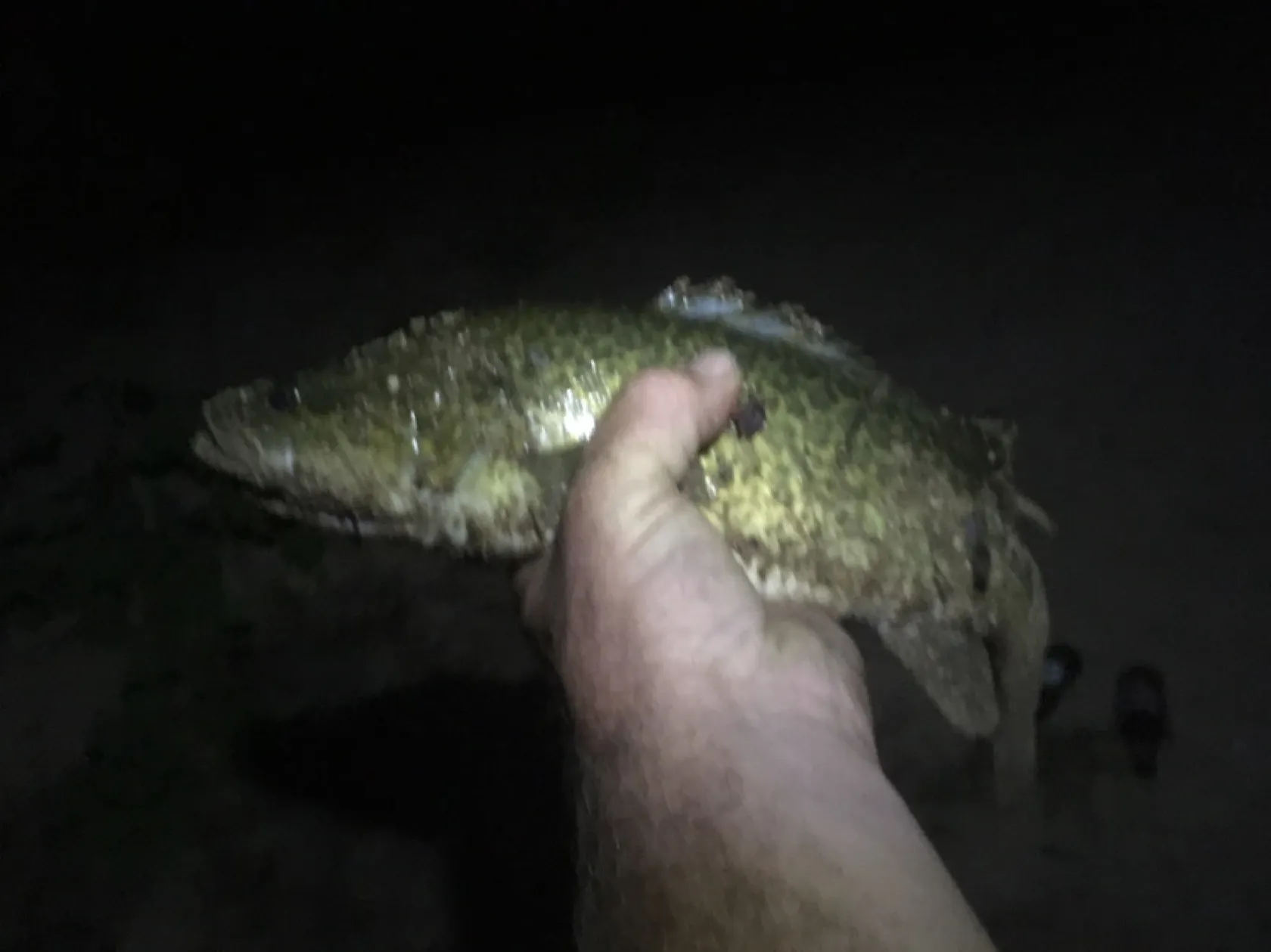 Post image from Dennism1