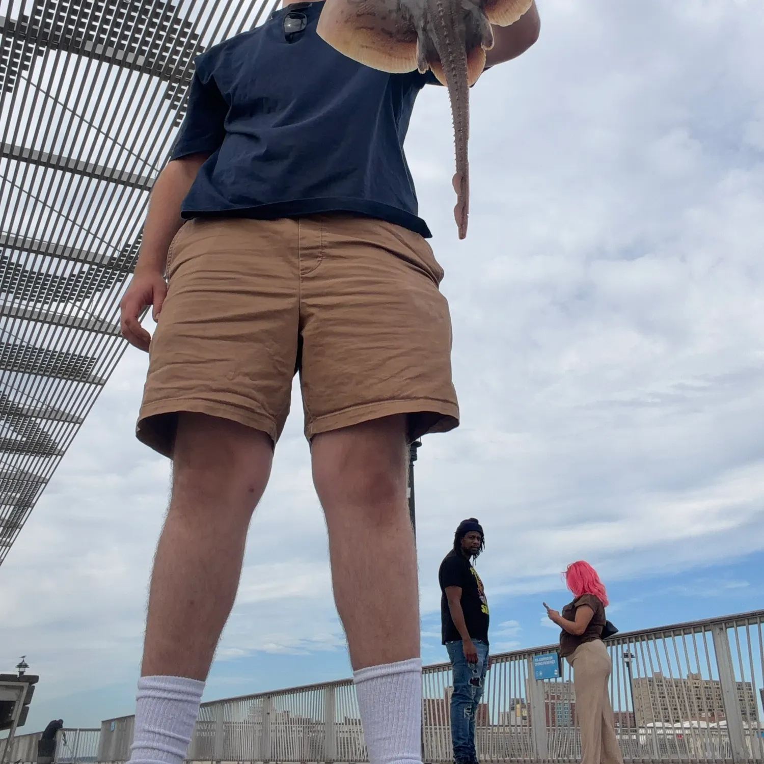 The most recent Clearnose skate catches on Fishbrain