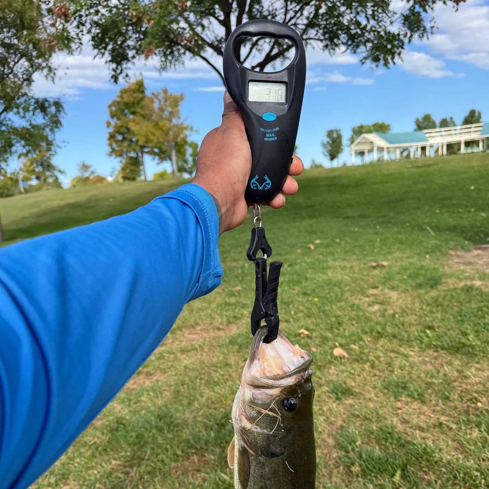 Largemouth bass caught on Fishbrain