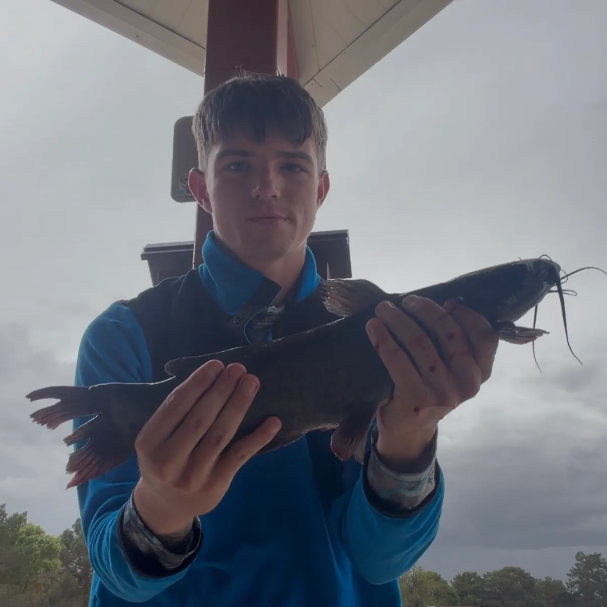 Channel catfish caught on Fishbrain
