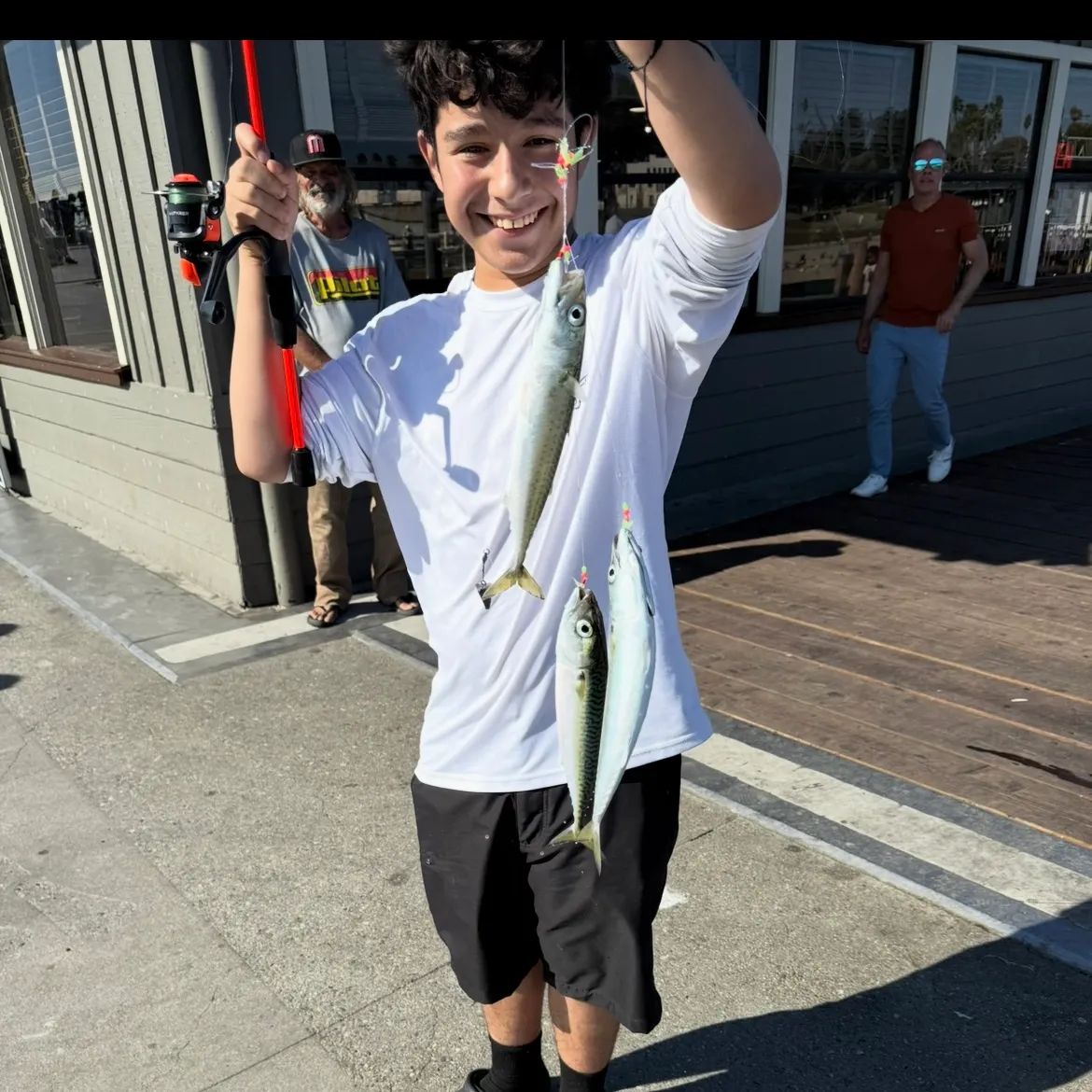 The most recent Pacific chub mackerel catches on Fishbrain