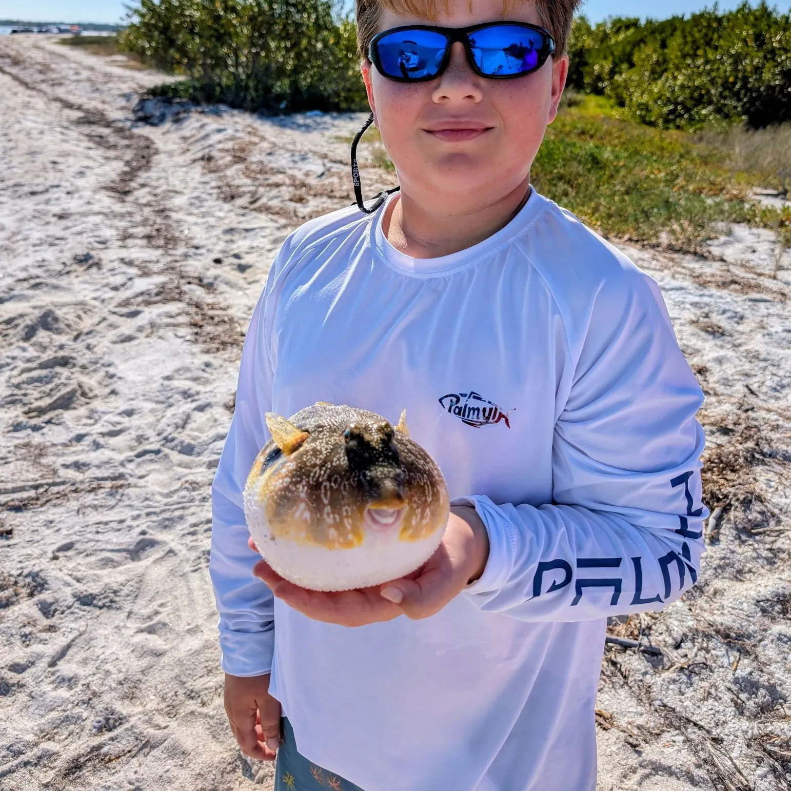The most recent Southern puffer catches on Fishbrain