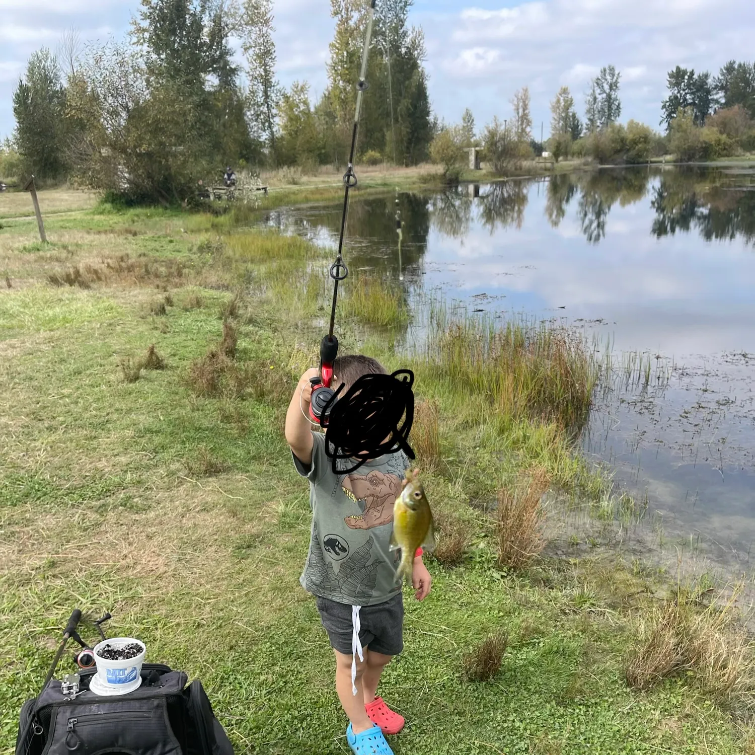 Bluegill caught on Fishbrain