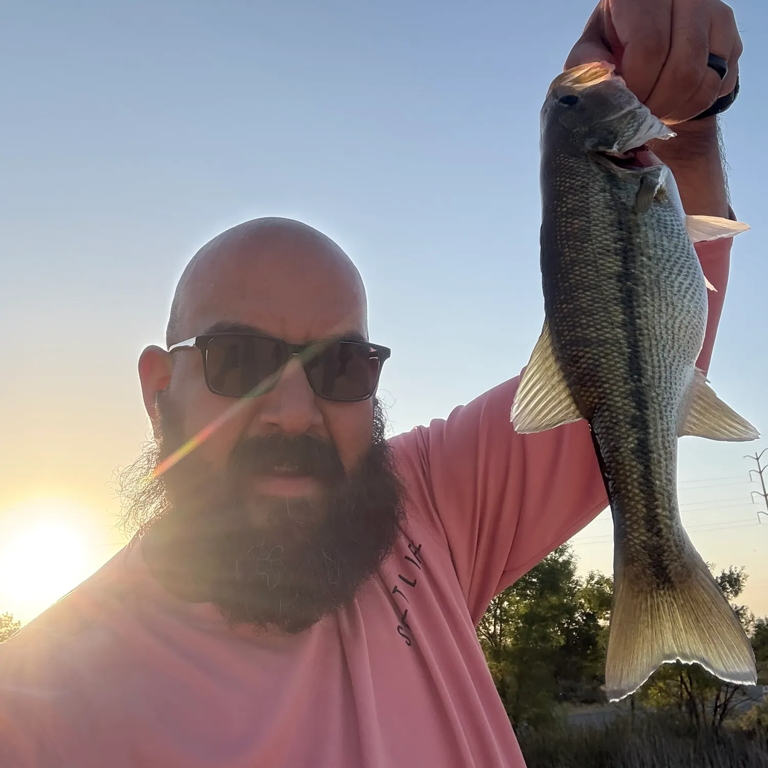 Spotted bass caught on Fishbrain