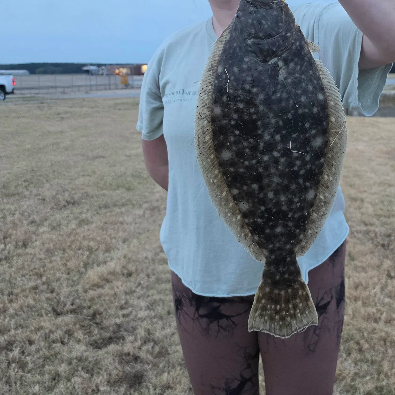 Summer flounder caught on Fishbrain